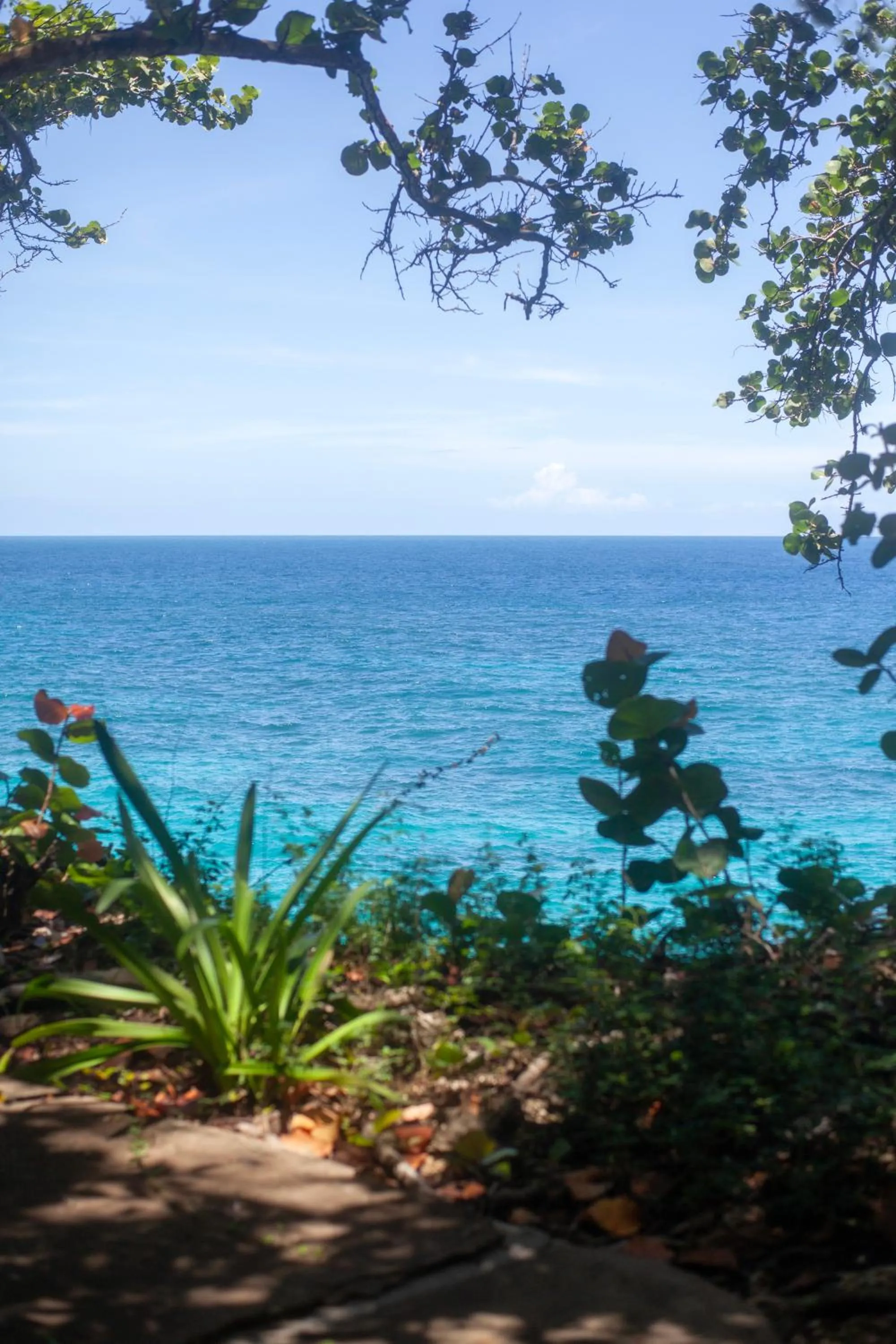 Frenchman's Cove Resort