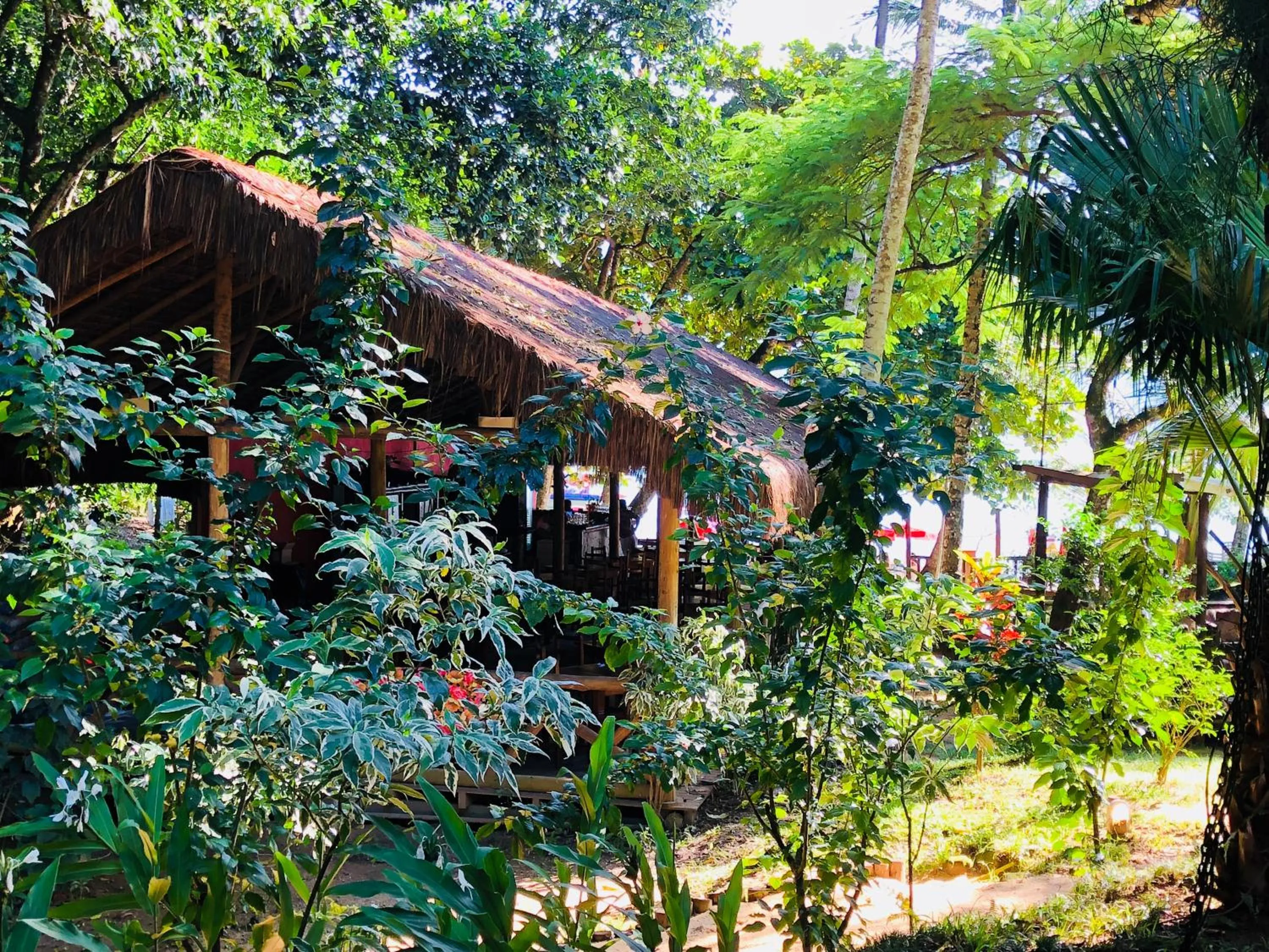 Restaurant/places to eat in Praia da Crena