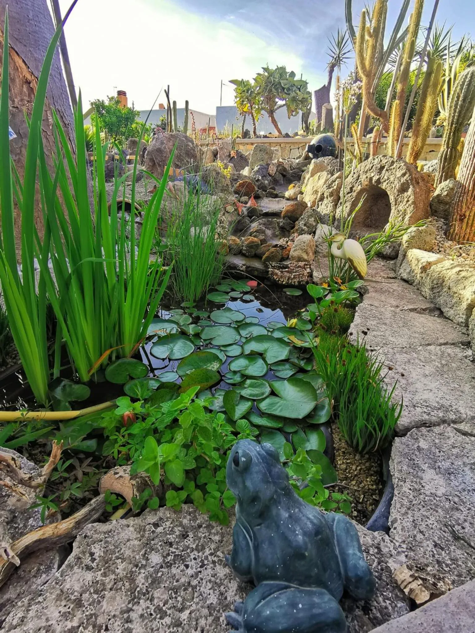 Spring in Villa Olivia Residence Ischia - Monolocali e Bilocali nel Verde con Piscine e Vista Mare