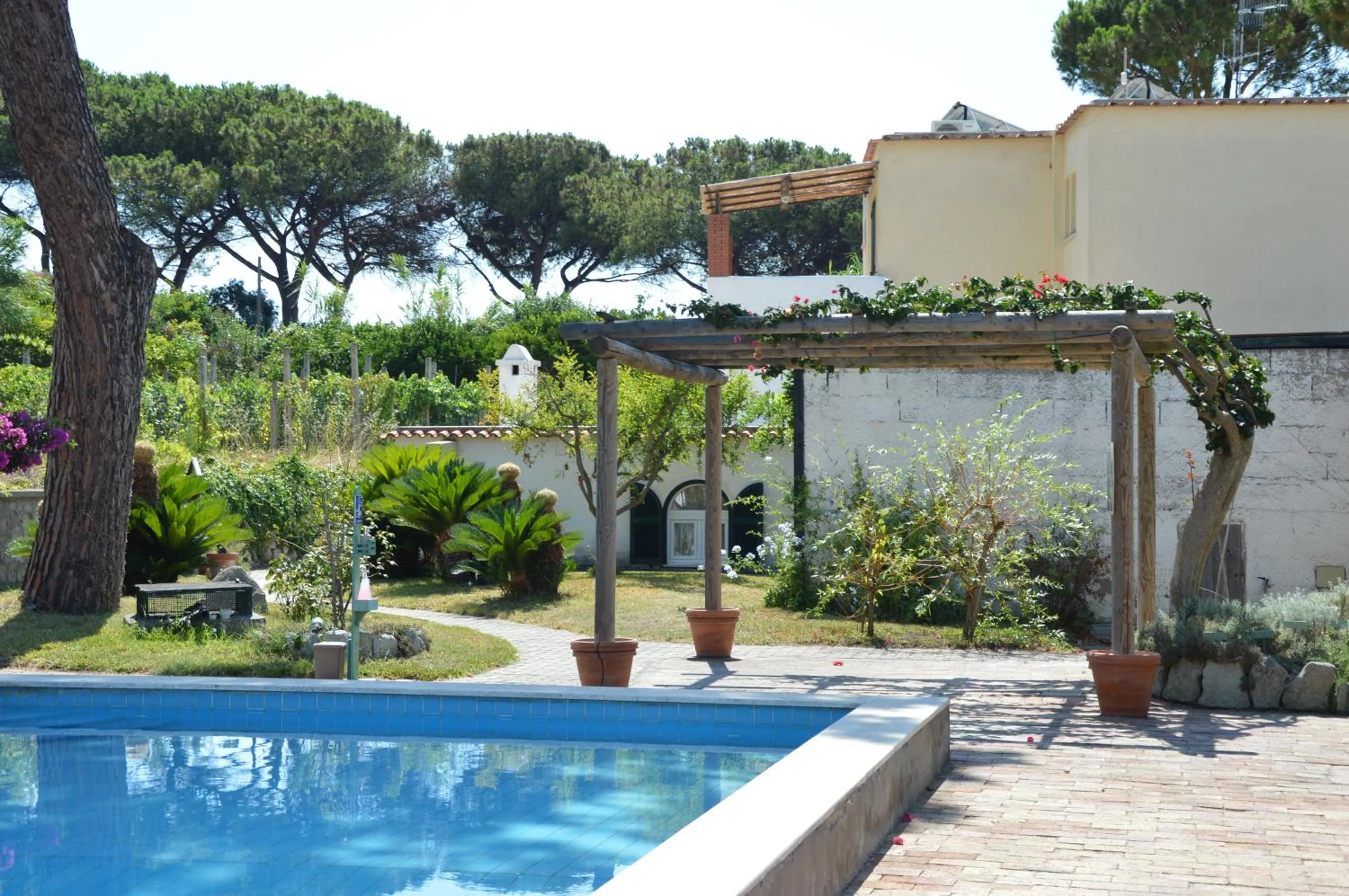 Day in Villa Olivia Residence Ischia - Monolocali e Bilocali nel Verde con Piscine e Vista Mare