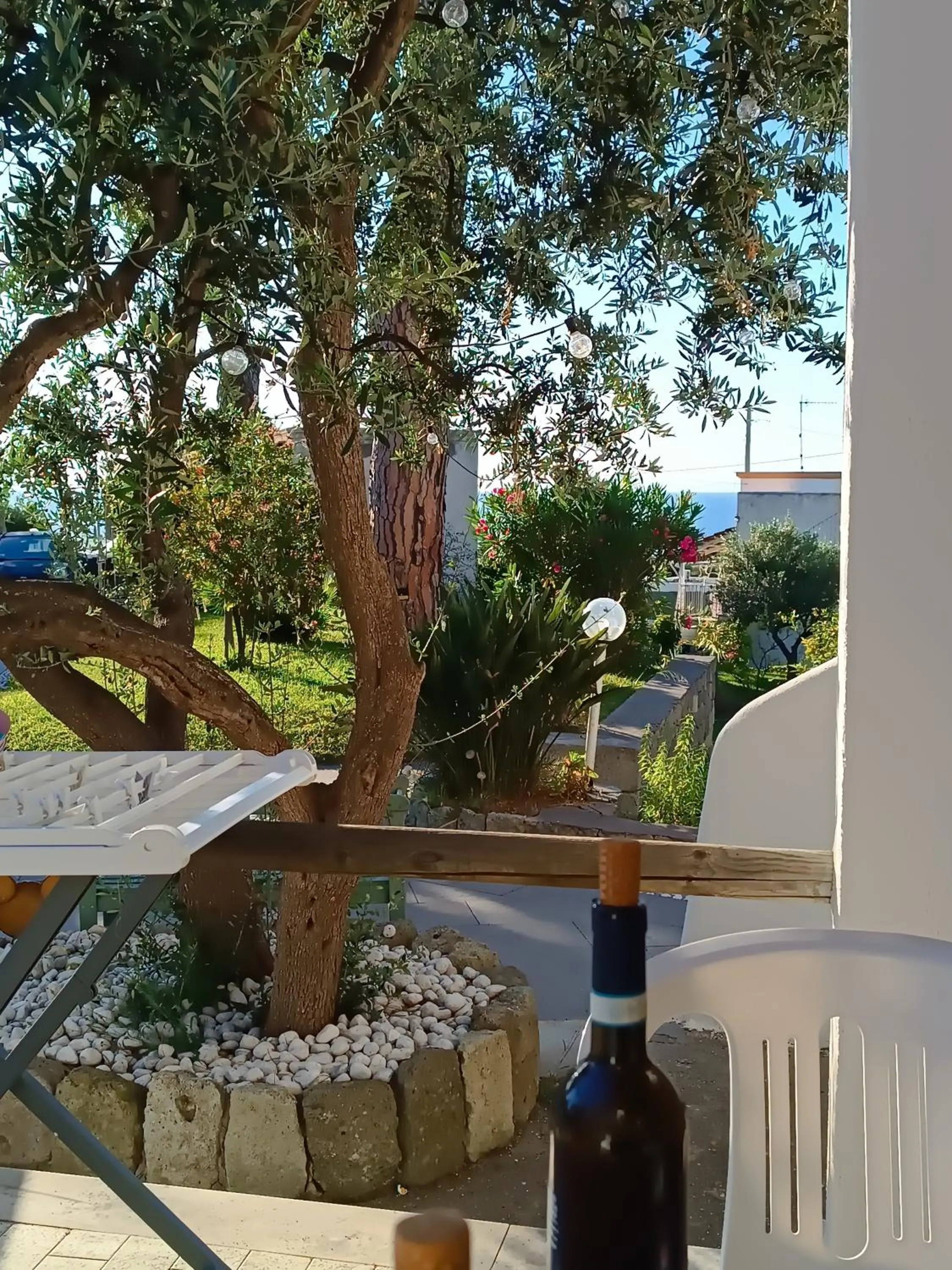 Patio in Villa Olivia Residence Ischia - Monolocali e Bilocali nel Verde con Piscine e Vista Mare