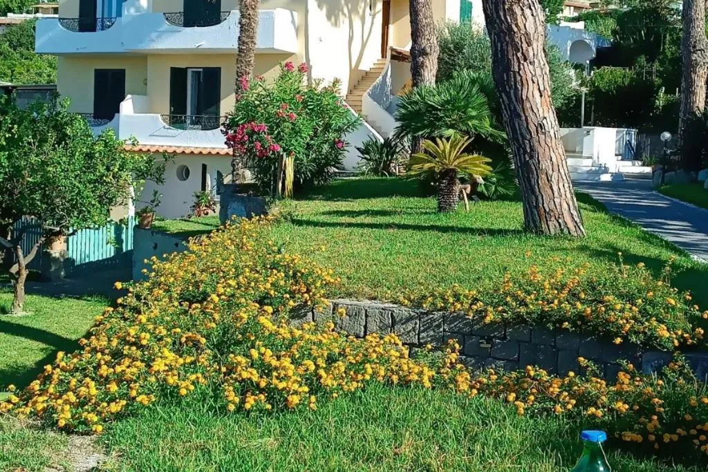 Villa Olivia Residence Ischia - Monolocali e Bilocali nel Verde con Piscine e Vista Mare