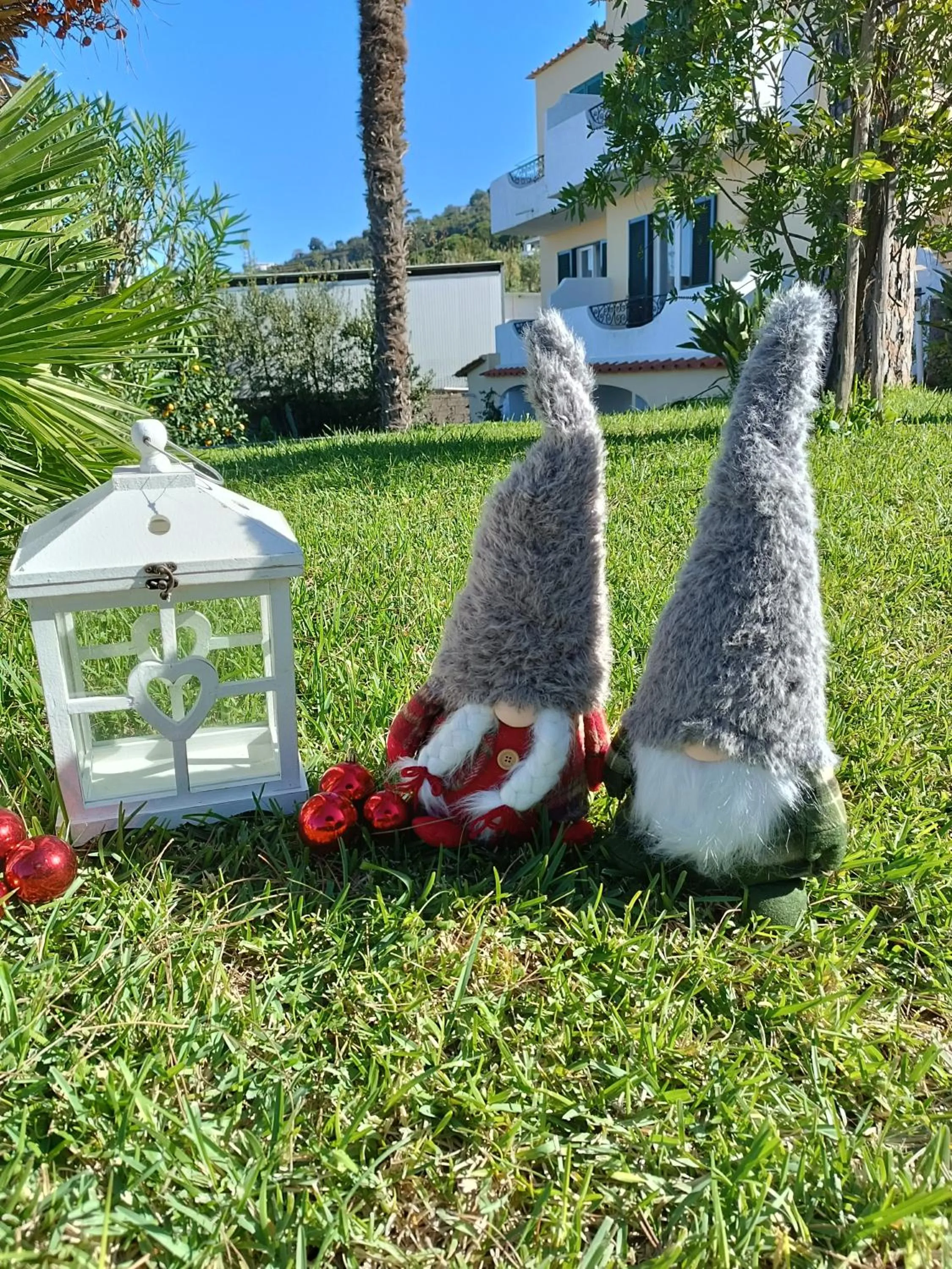 Villa Olivia Residence Ischia - Monolocali e Bilocali nel Verde con Piscine e Vista Mare