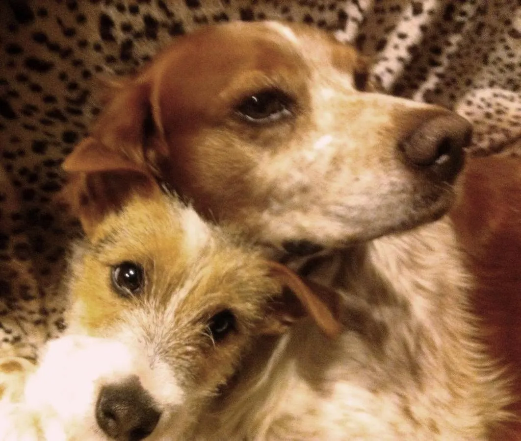 Lounge or bar in Chambre d'Hôte "Chez Antoinette et Charles"