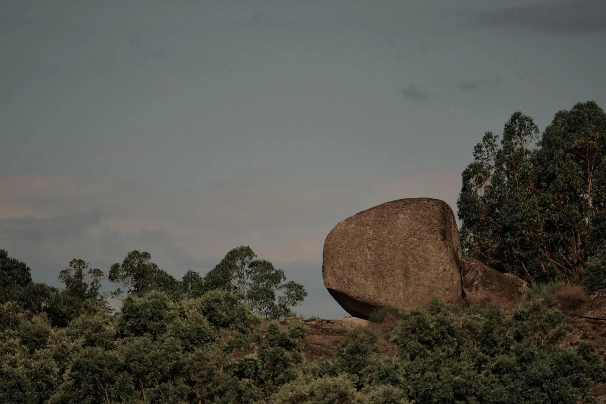 Natural landscape in Bode Country House