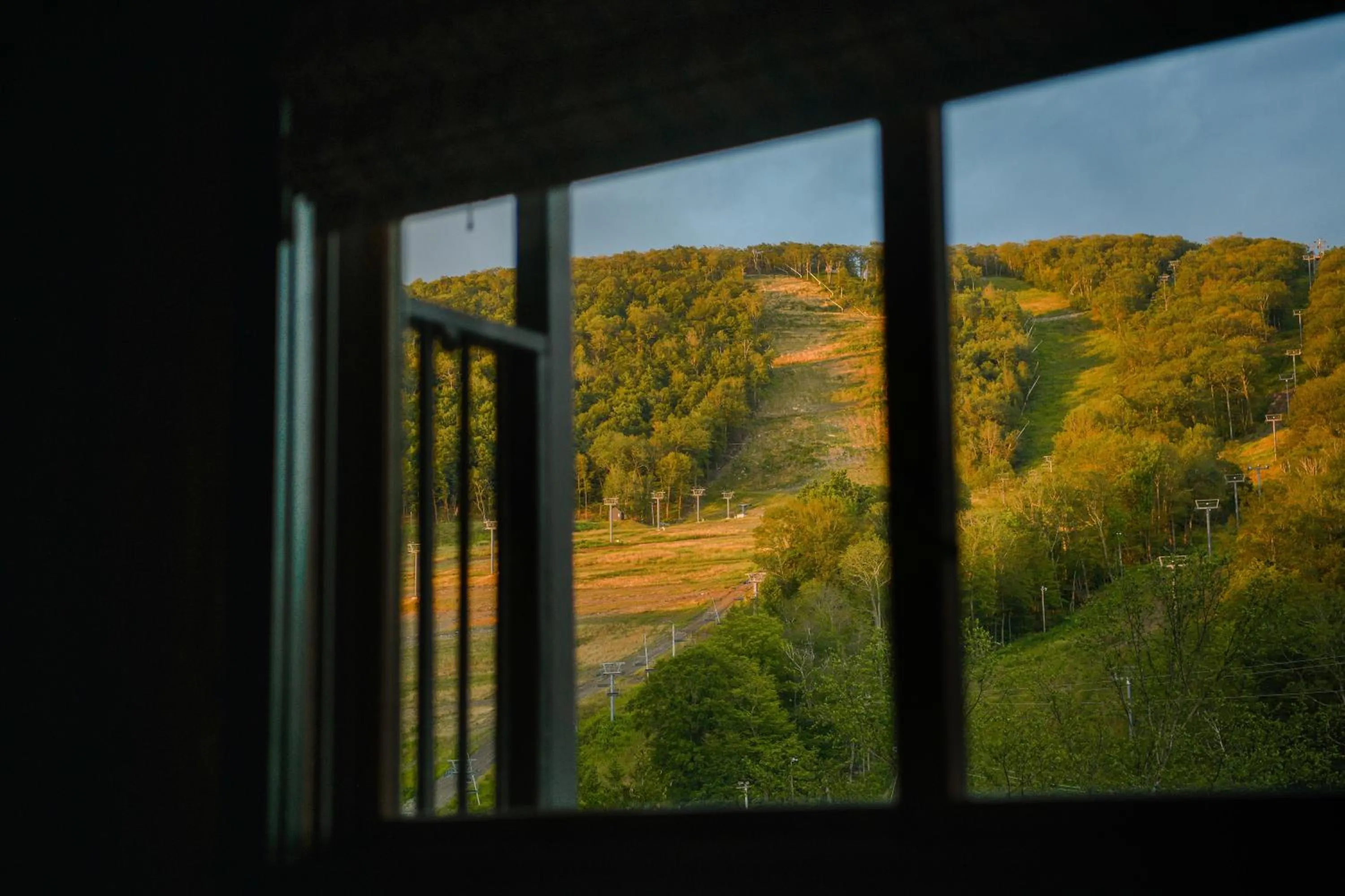 View (from property/room) in Little Cat Lodge