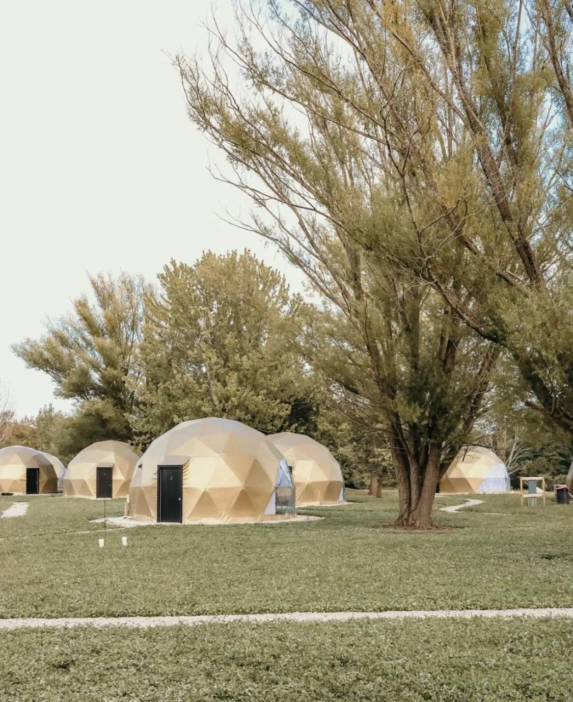 Day in DayDreamer Domes