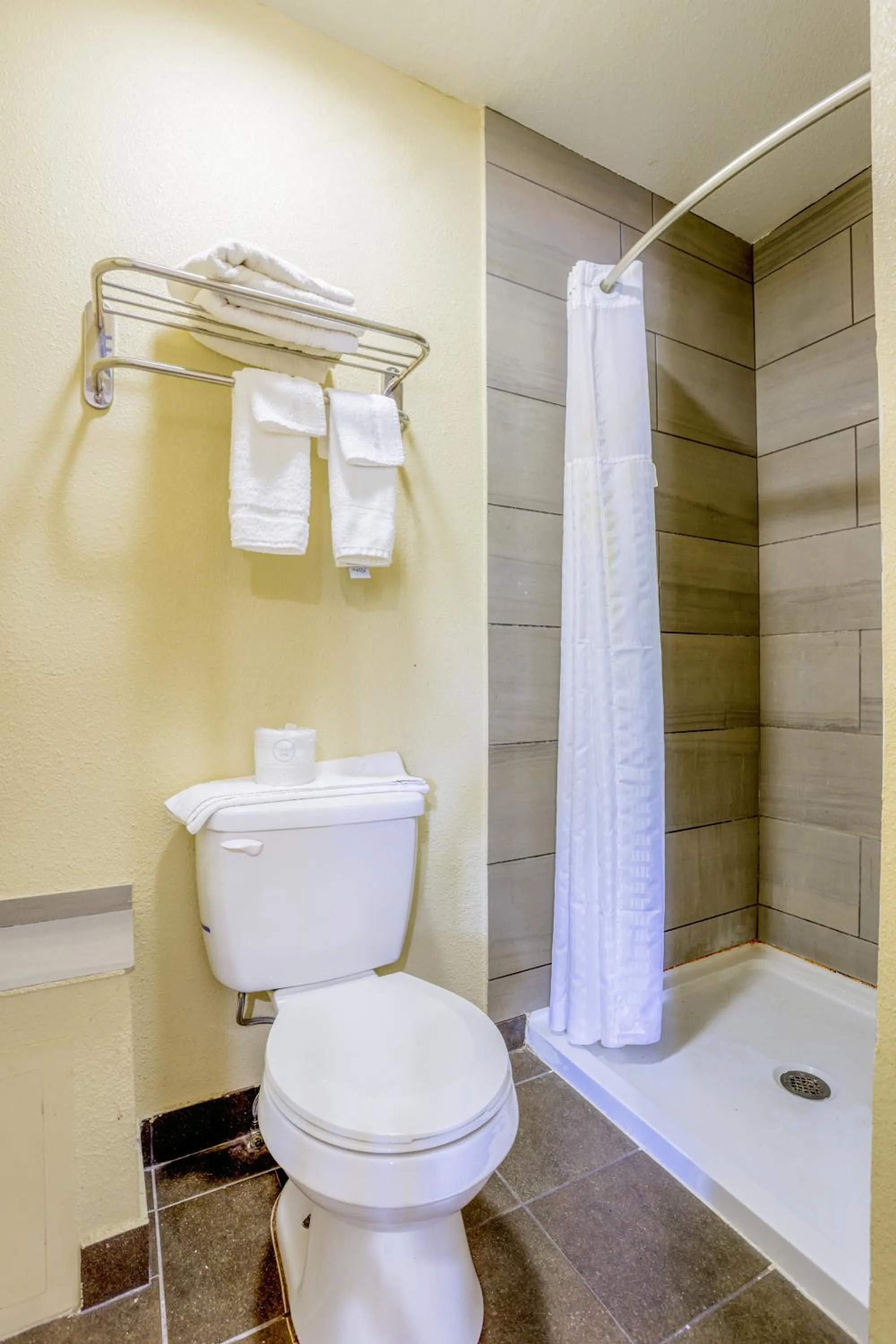 Bathroom in Budget Inn By OYO Natural Bridge I-81