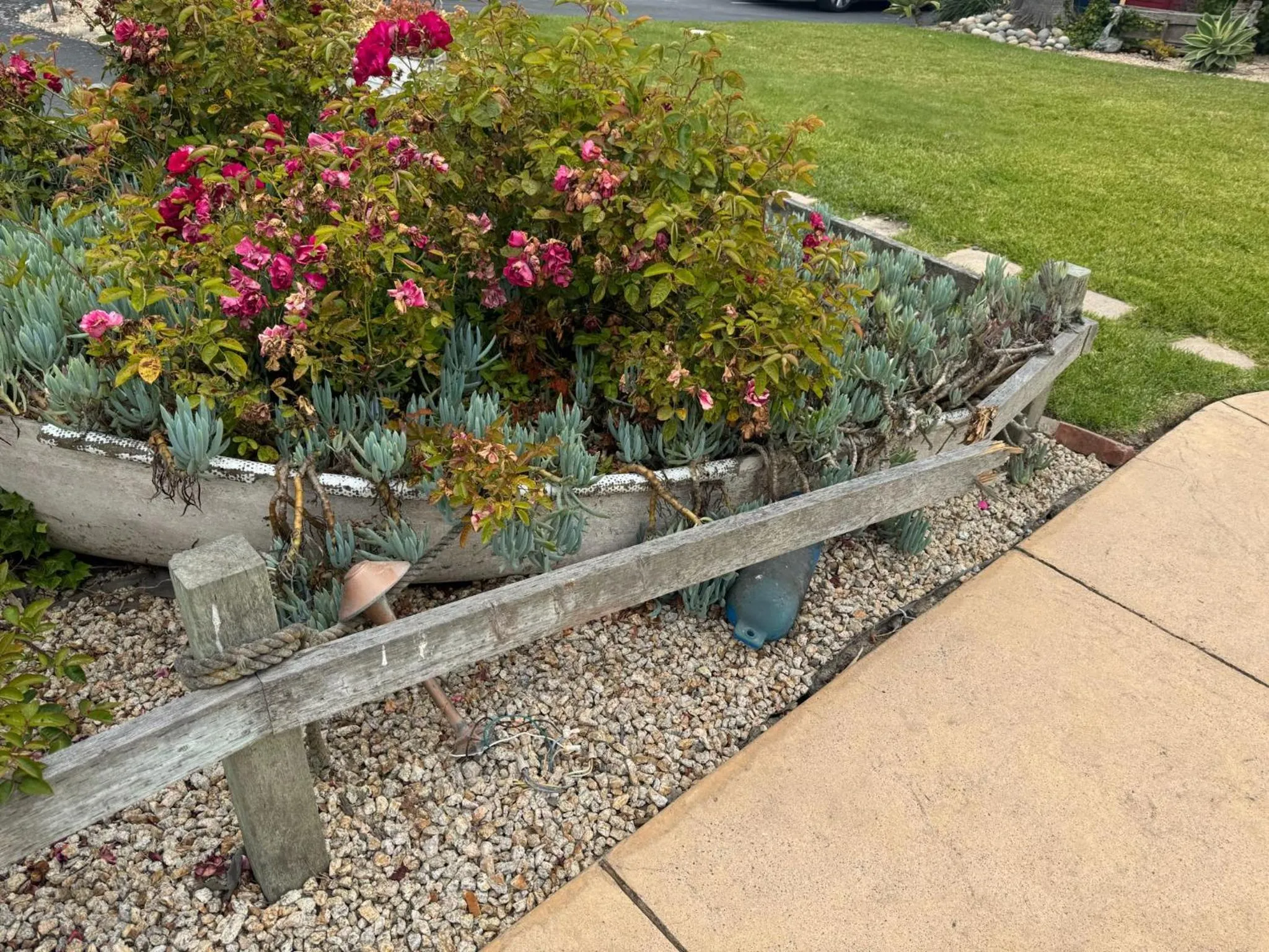 Garden in Captain's Inn at Moss Landing