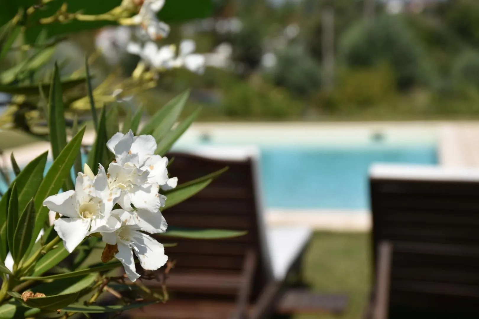Garden in Casa nas Serras