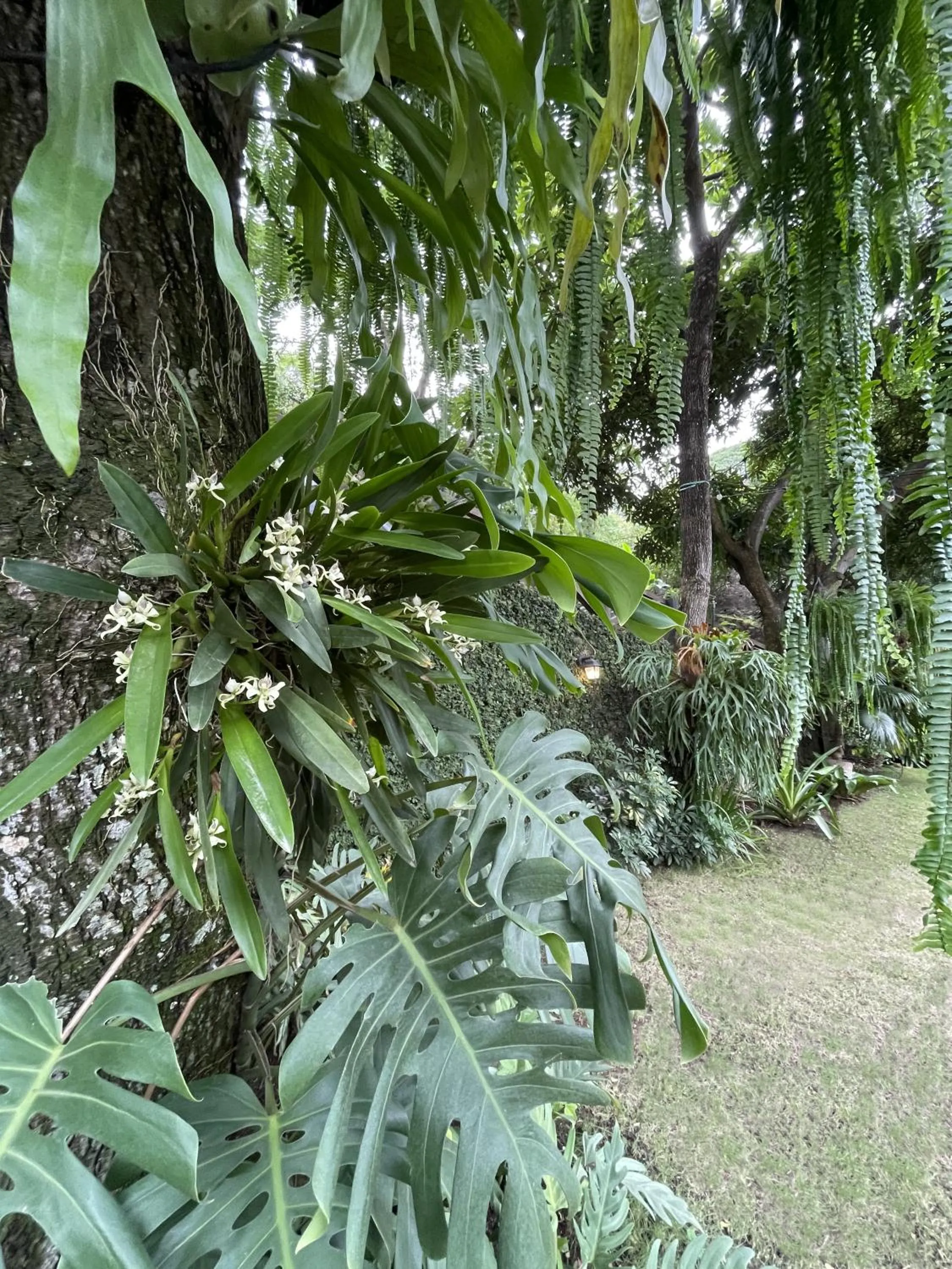 Natural landscape in Iguanazu Bed & Breakfast