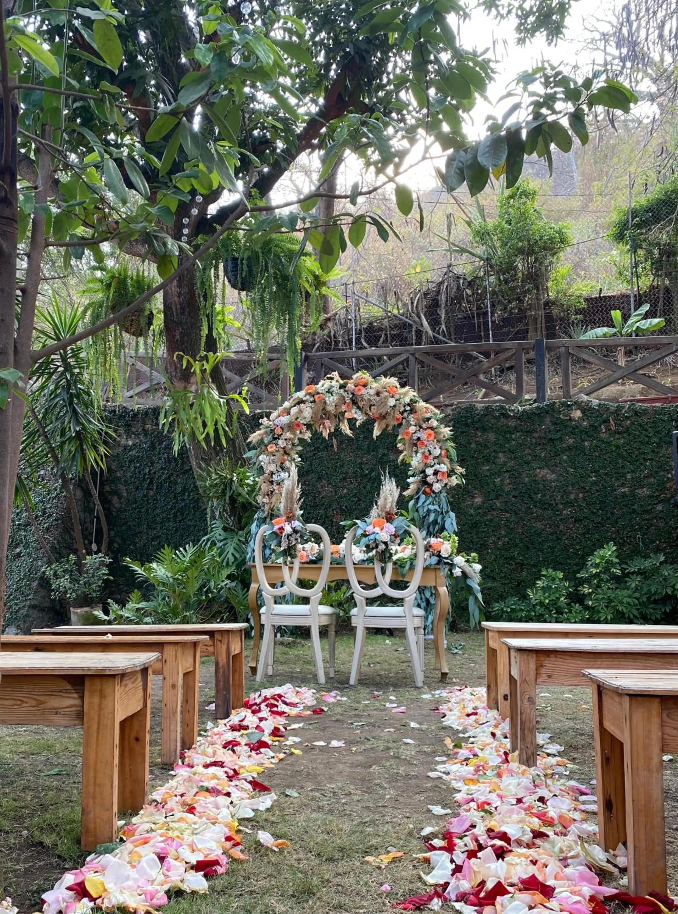 Garden view in Iguanazu Bed & Breakfast