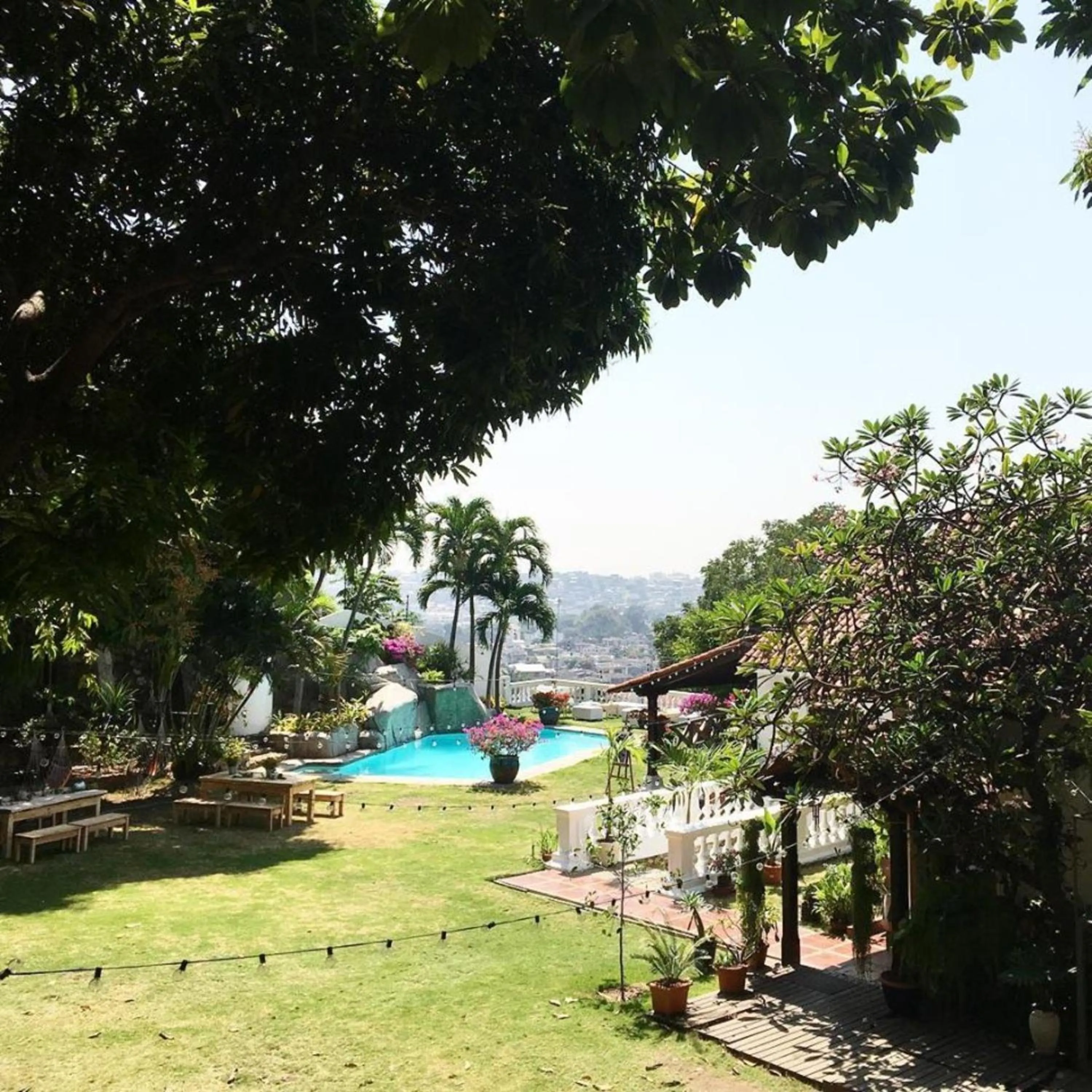 Garden in Iguanazu Bed & Breakfast