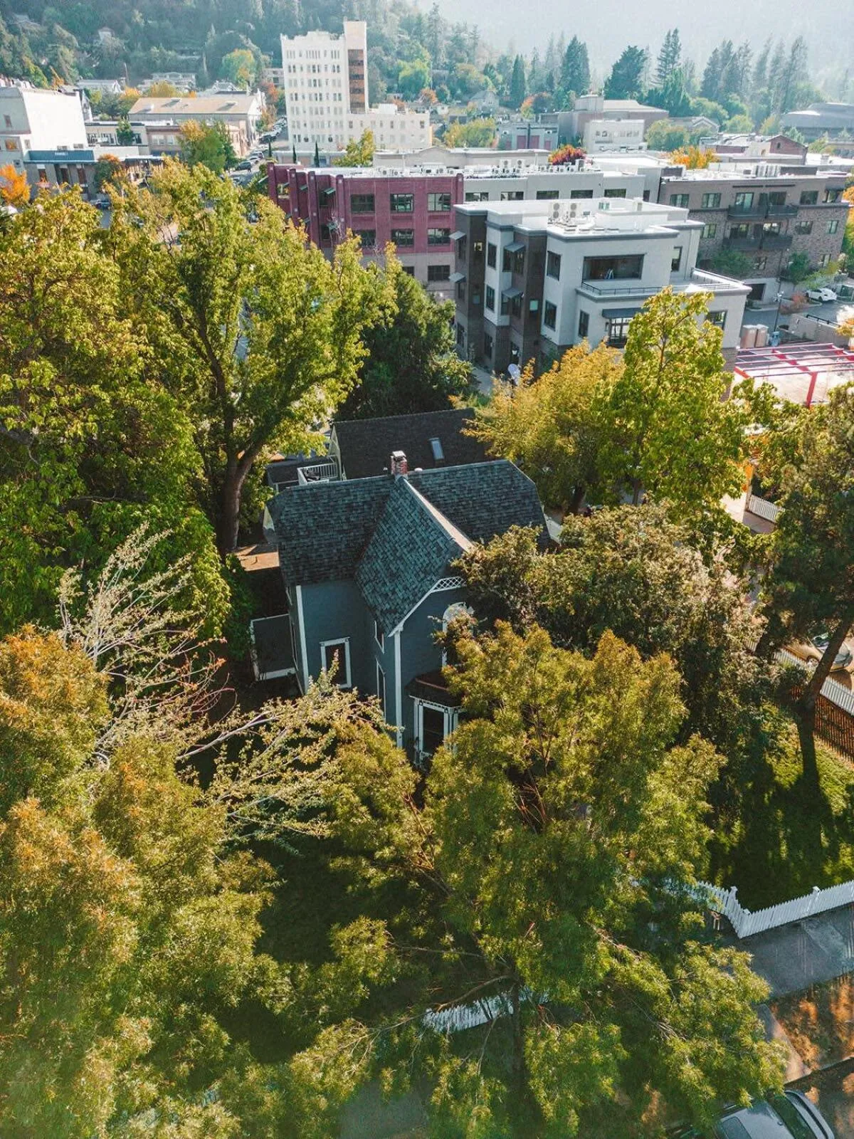 The Matriarch Heritage House- Downtown Ashland
