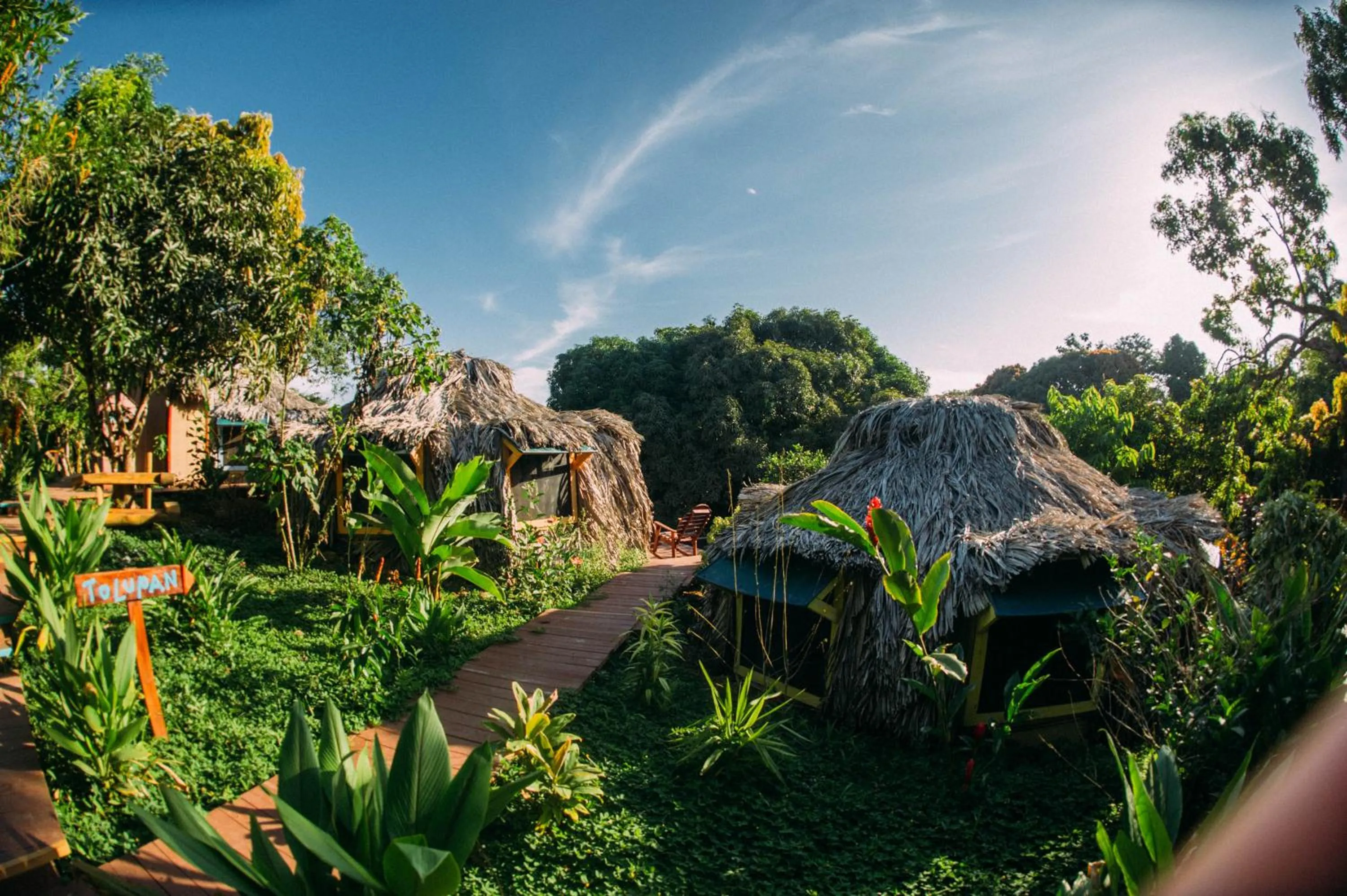 Natural landscape in Bambuda Lodge
