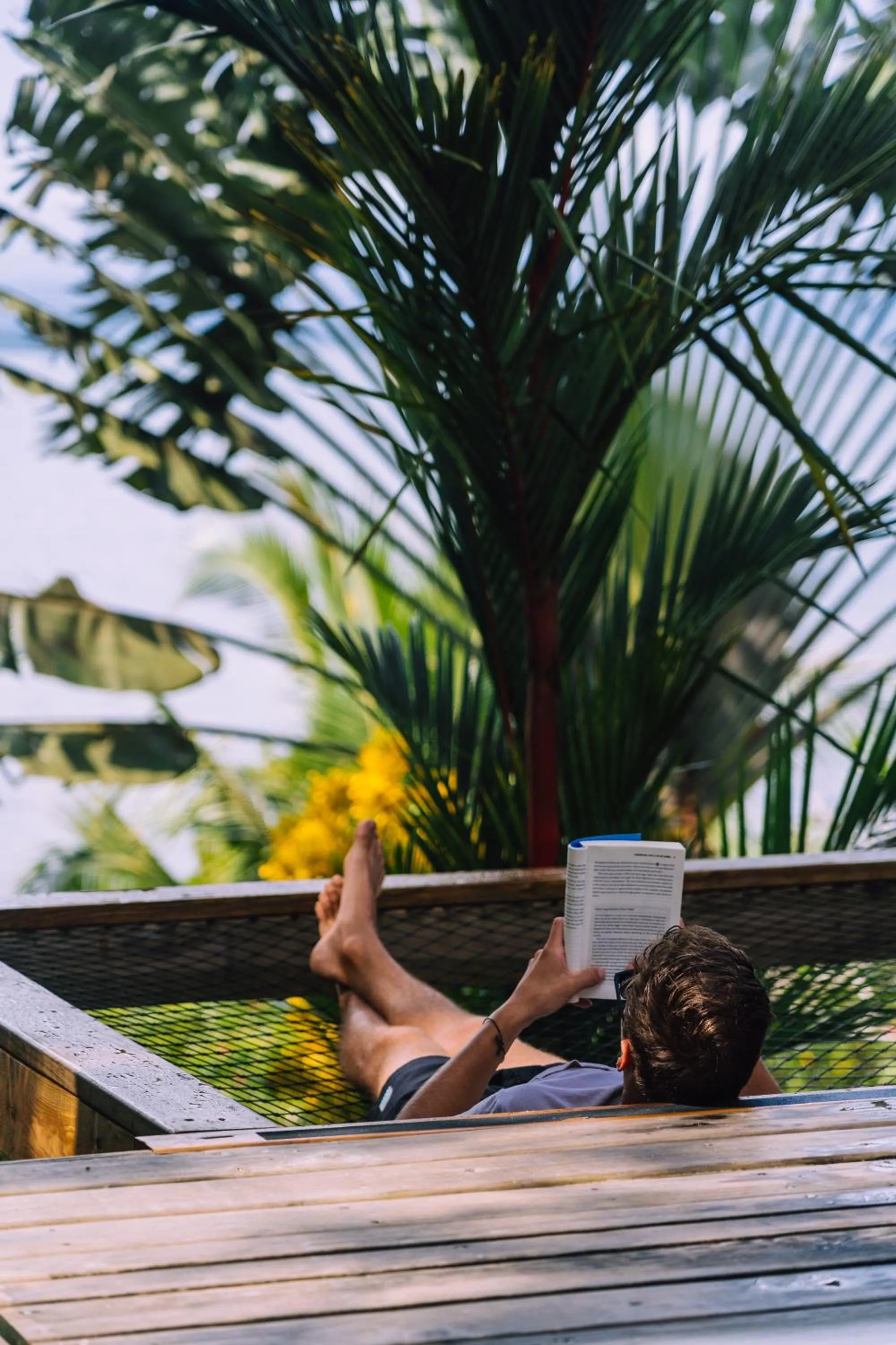 Natural landscape in Bambuda Lodge