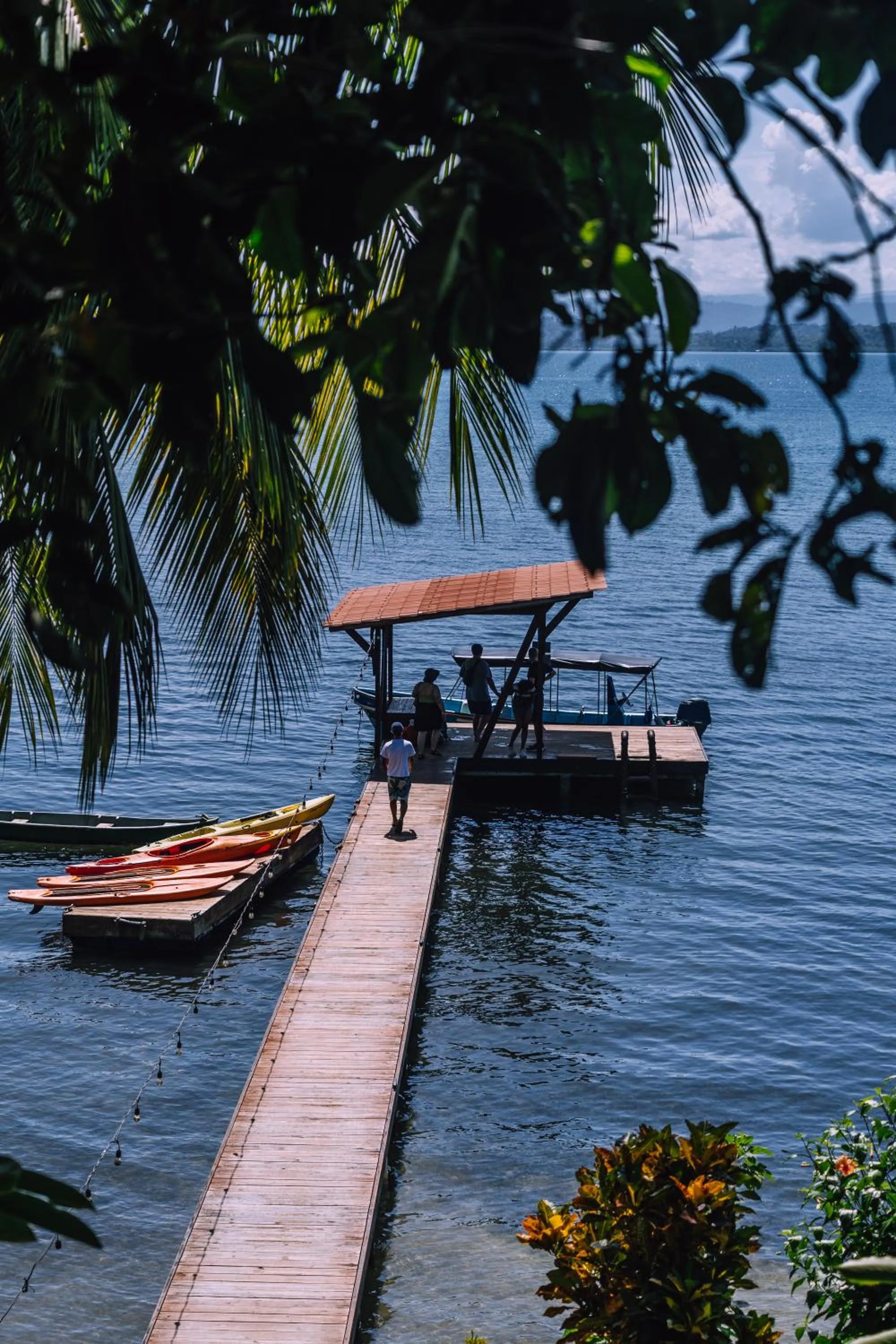 Natural landscape in Bambuda Lodge