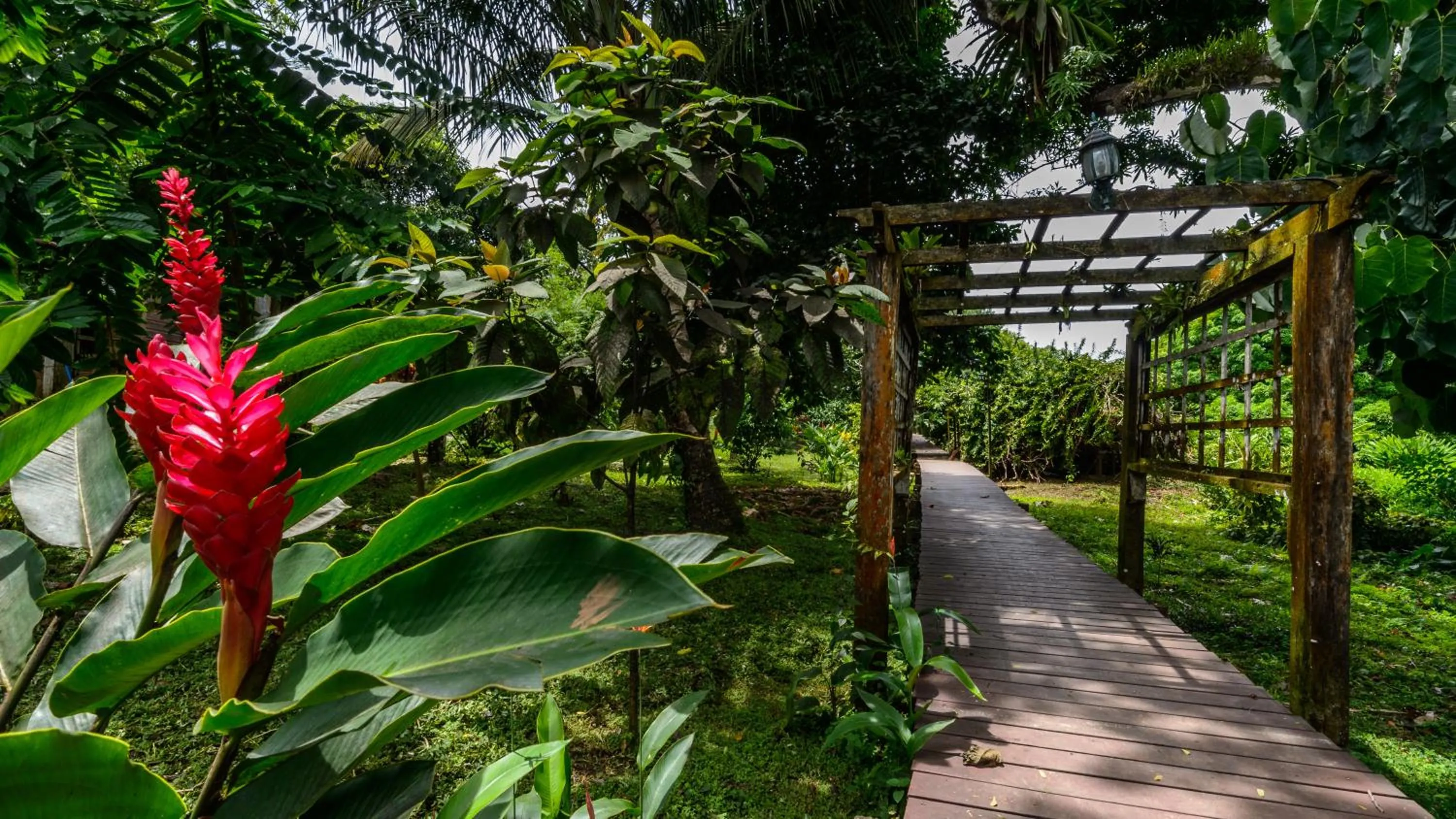 Day in Bambuda Lodge