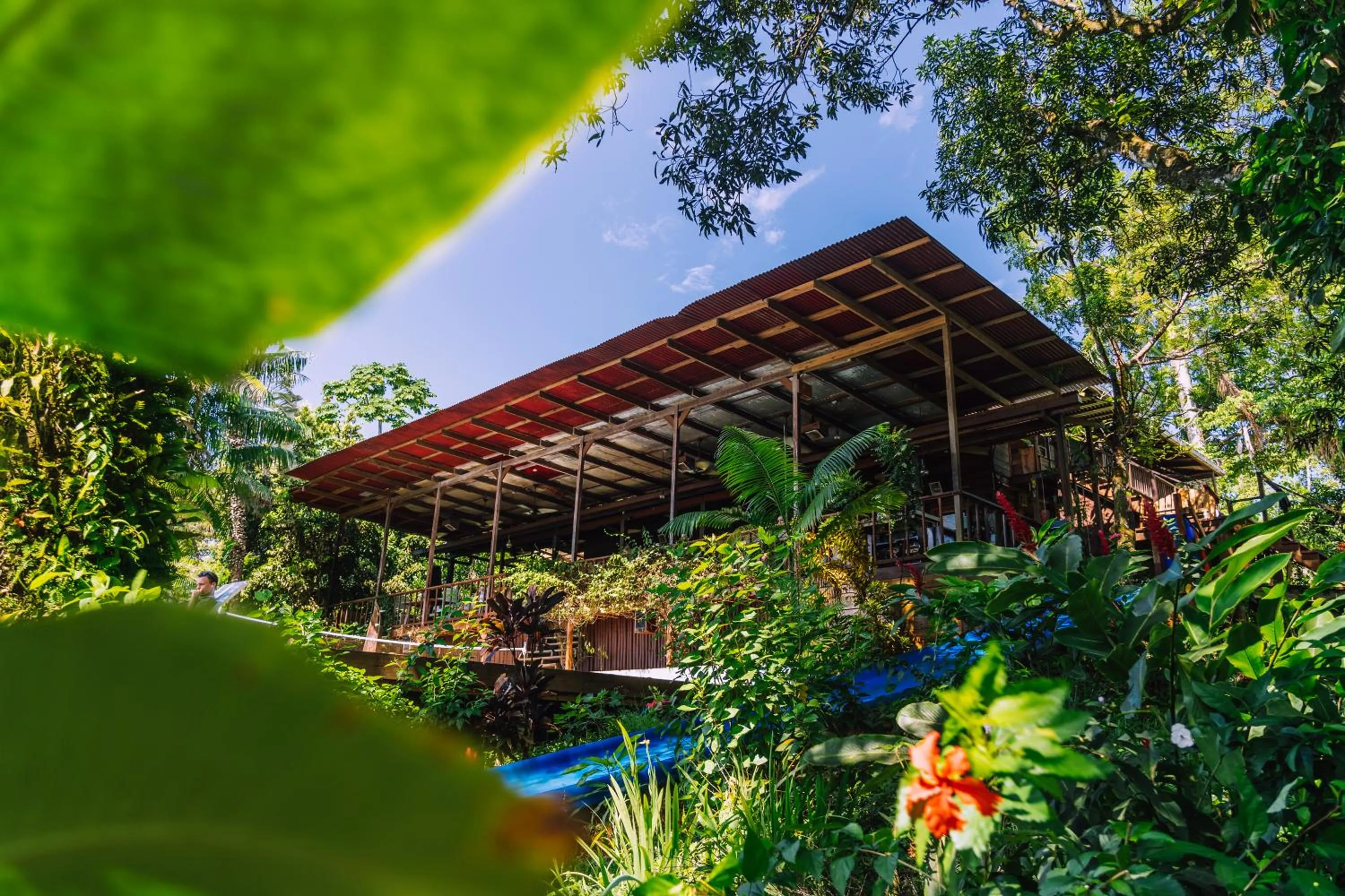 Garden view in Bambuda Lodge