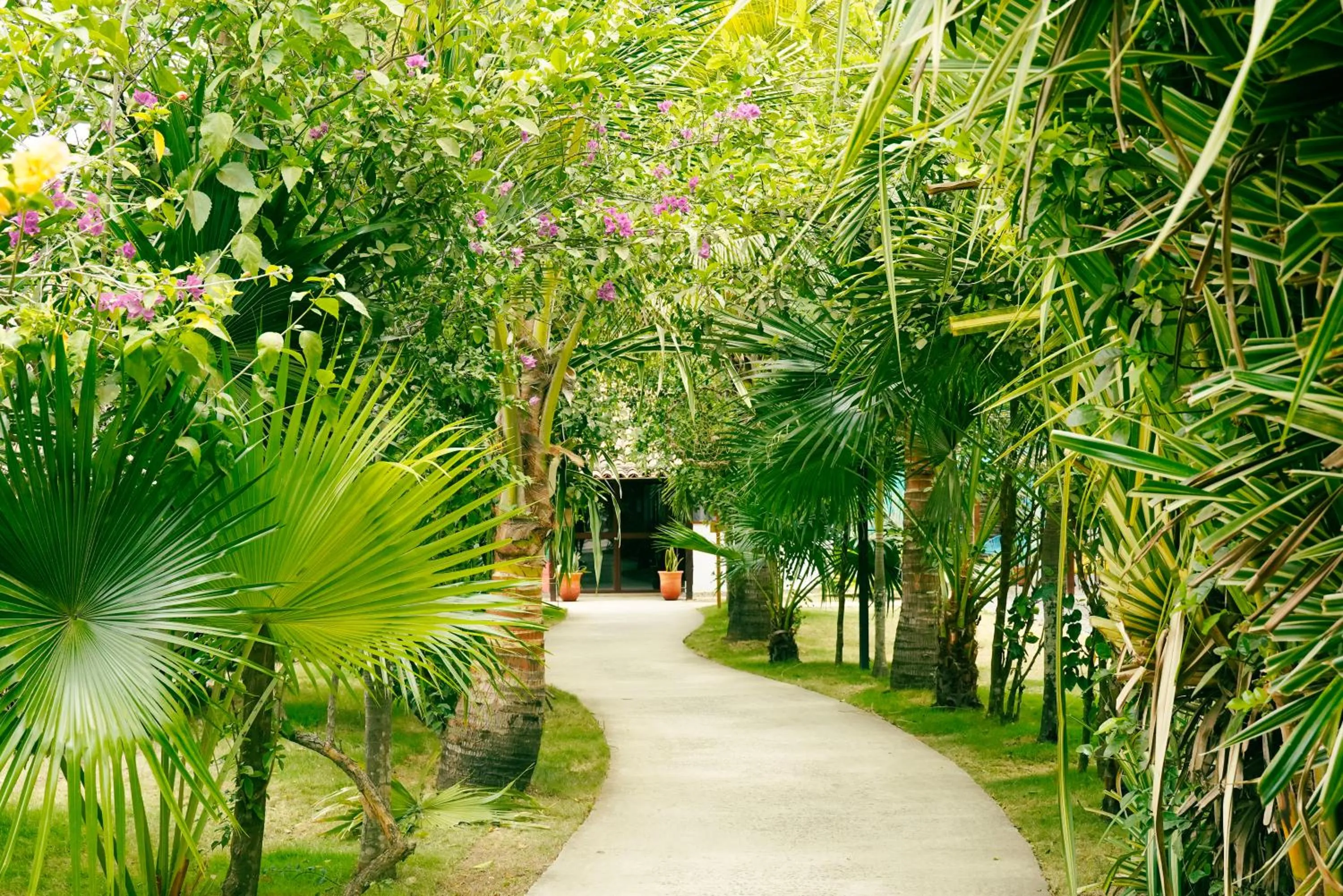 Garden in Selina Playa Venao