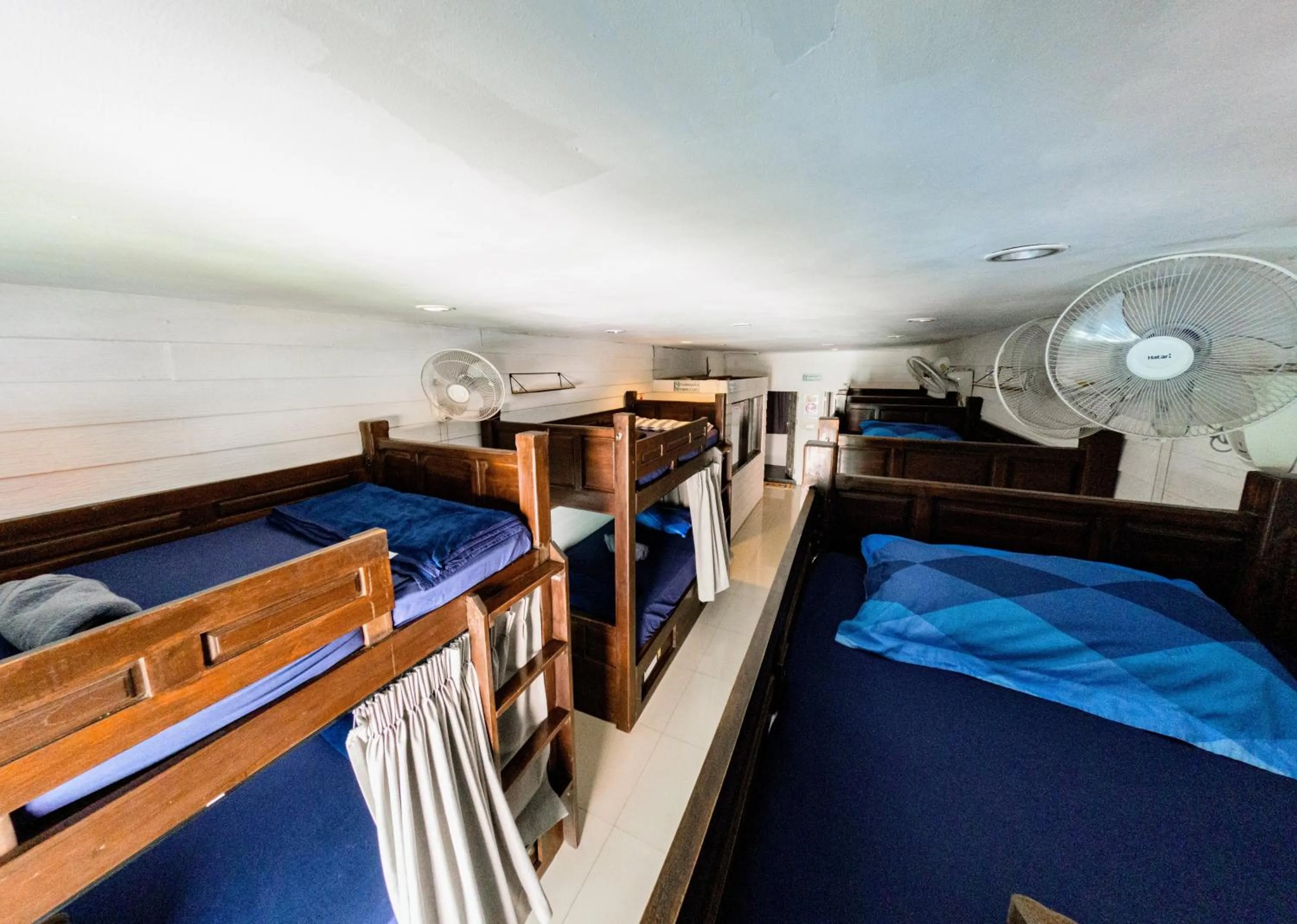 bunk bed, Bed in Back Home Backpackers Hostel