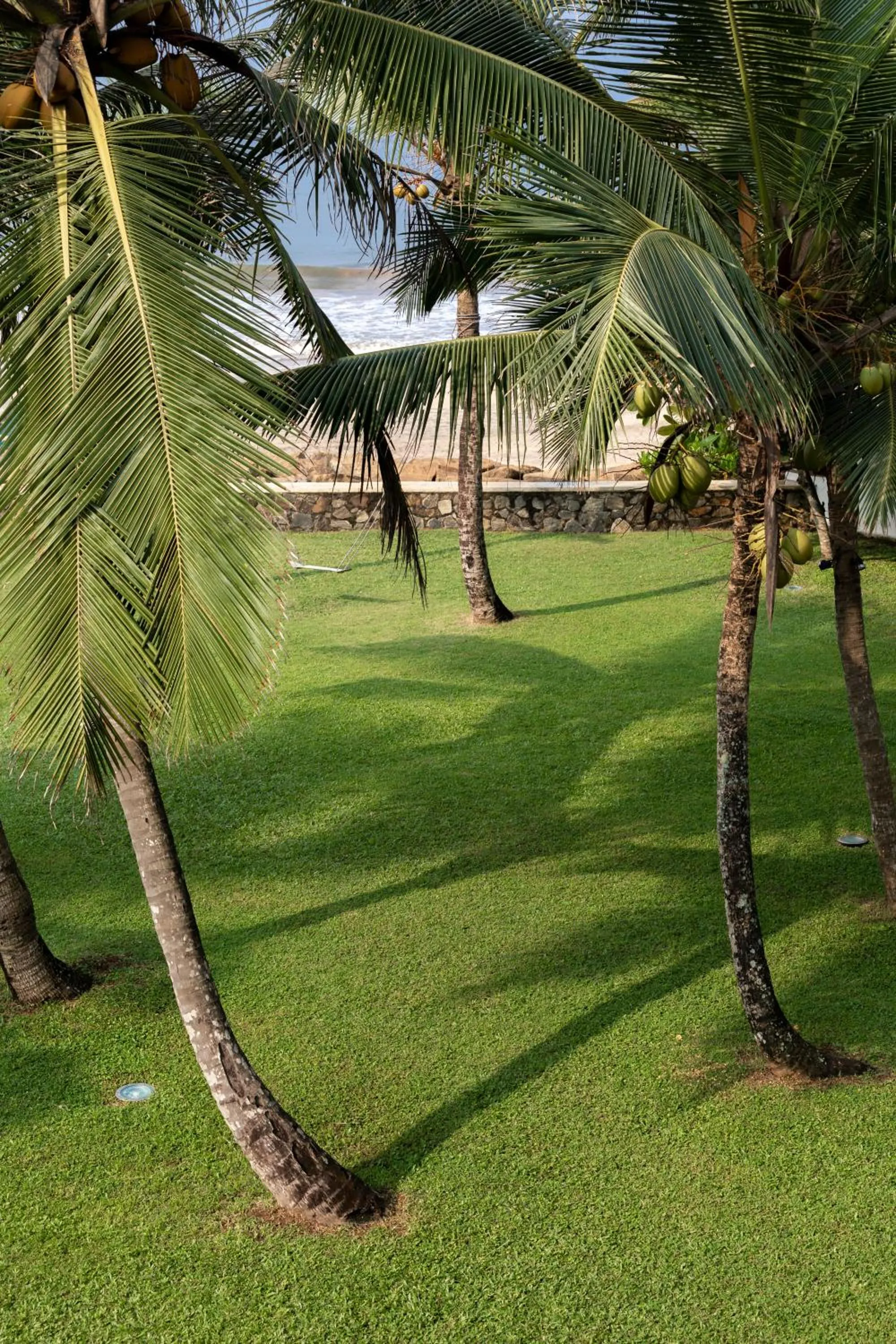Garden in Arabella on Boossa