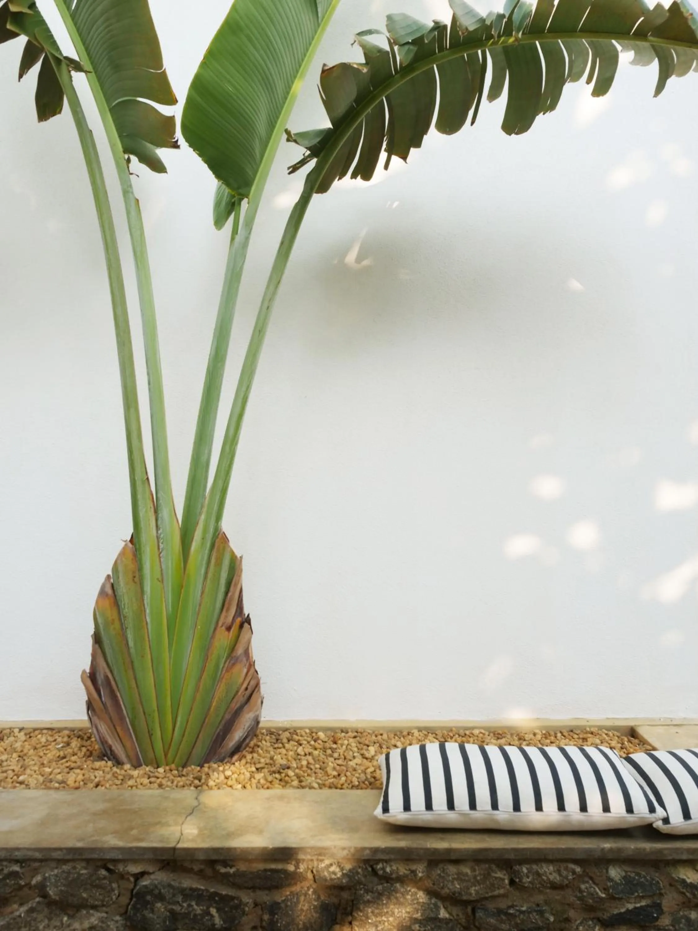 Garden in Arabella on Boossa