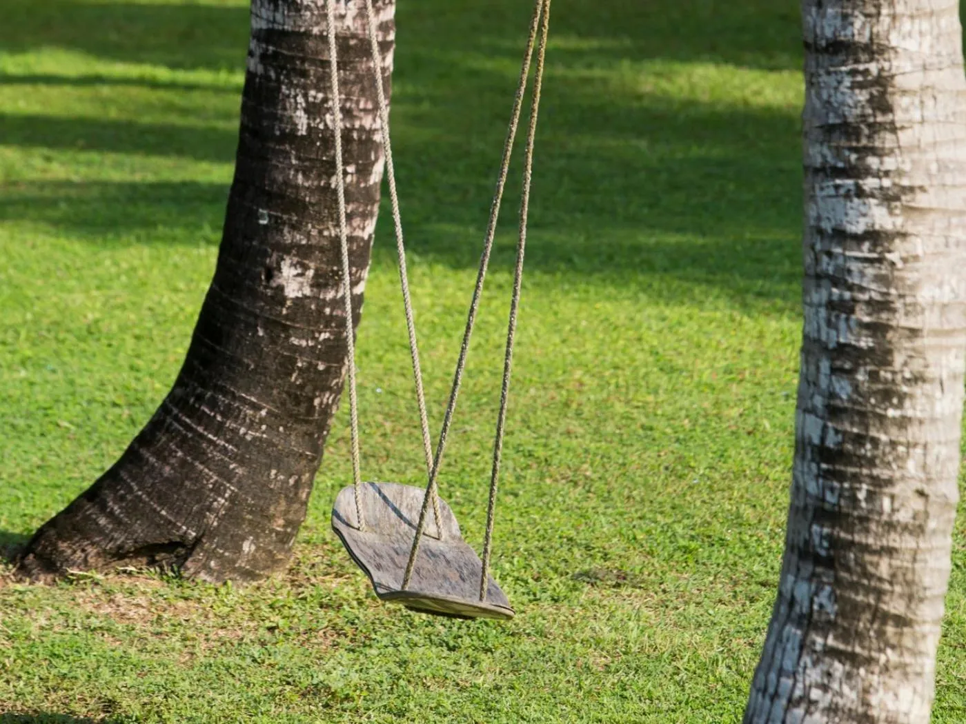 Activities in Arabella on Boossa