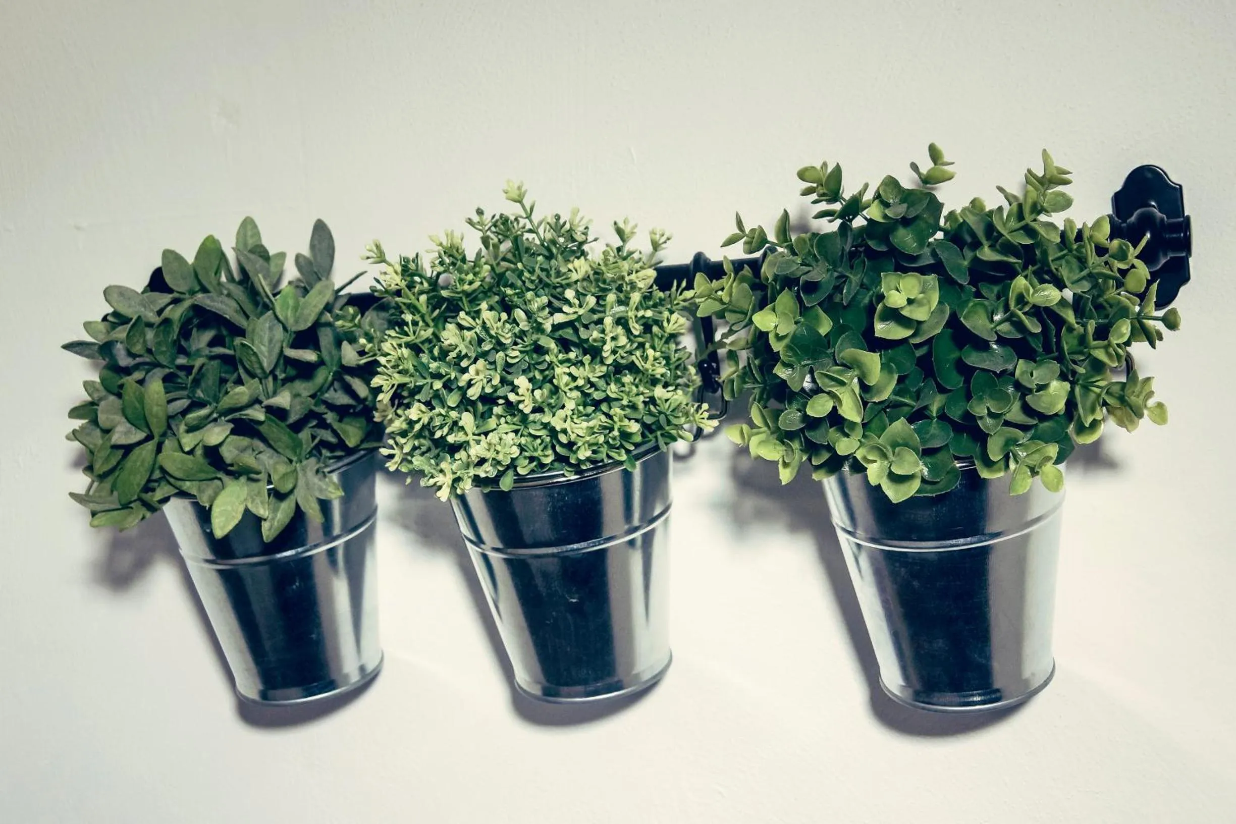 Decorative detail in La Terrazza sul Centro
