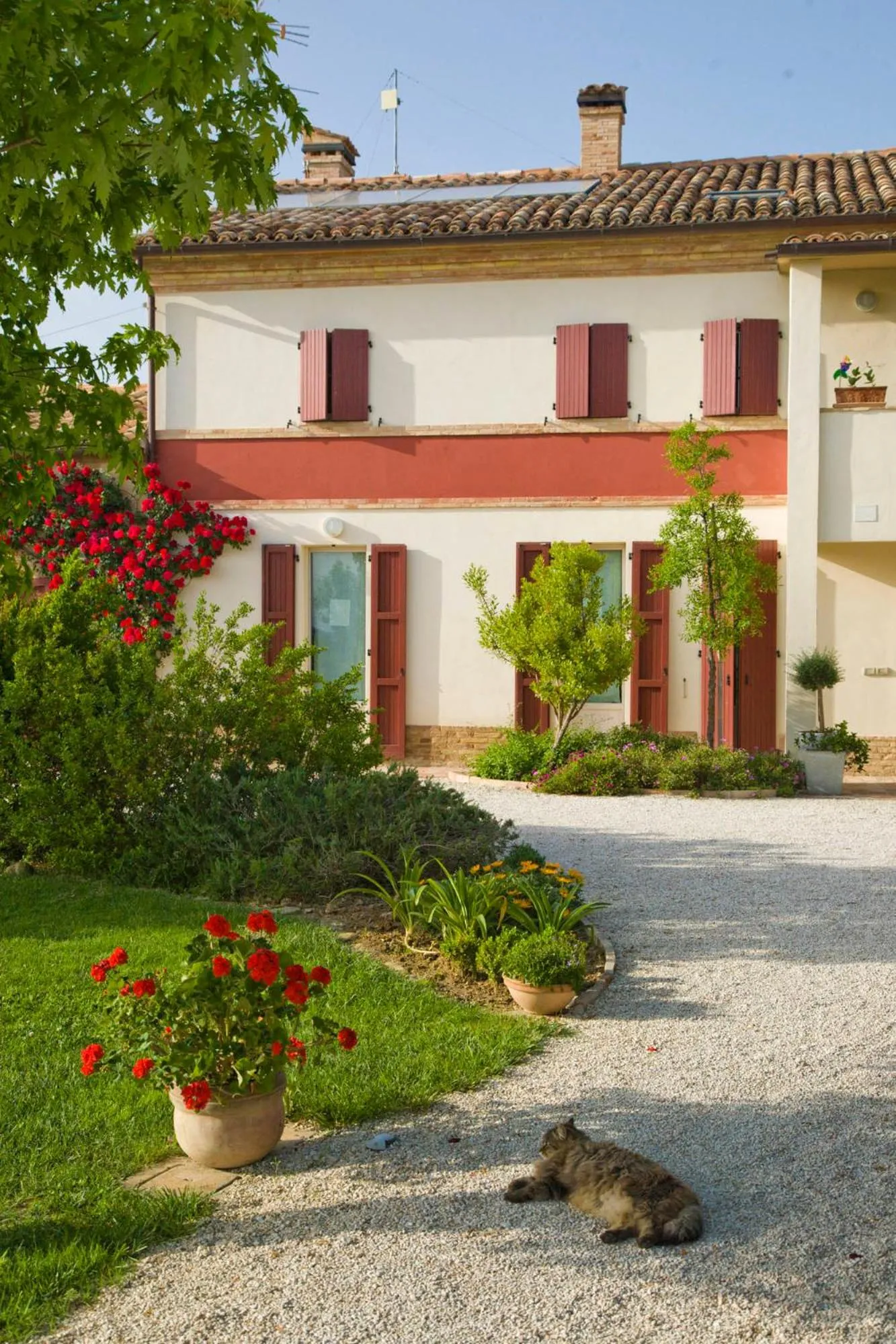 Property building in B&B Campodisole