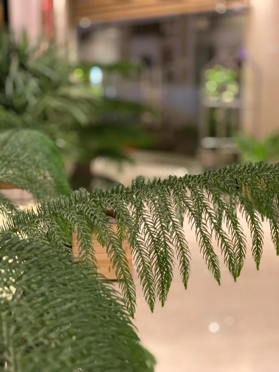 ساس رتل للوحدات السكنية المفروشة