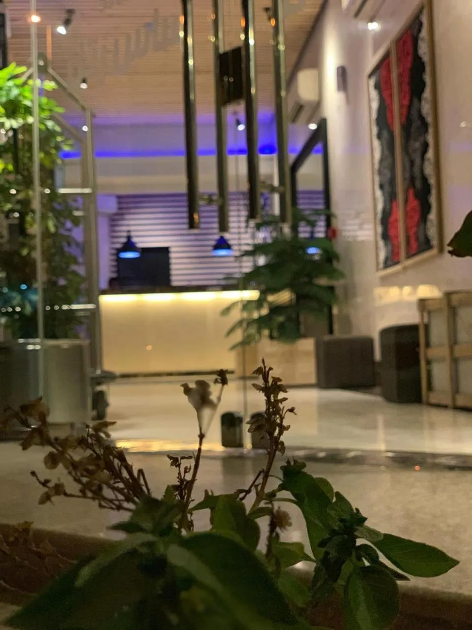 ساس رتل للوحدات السكنية المفروشة