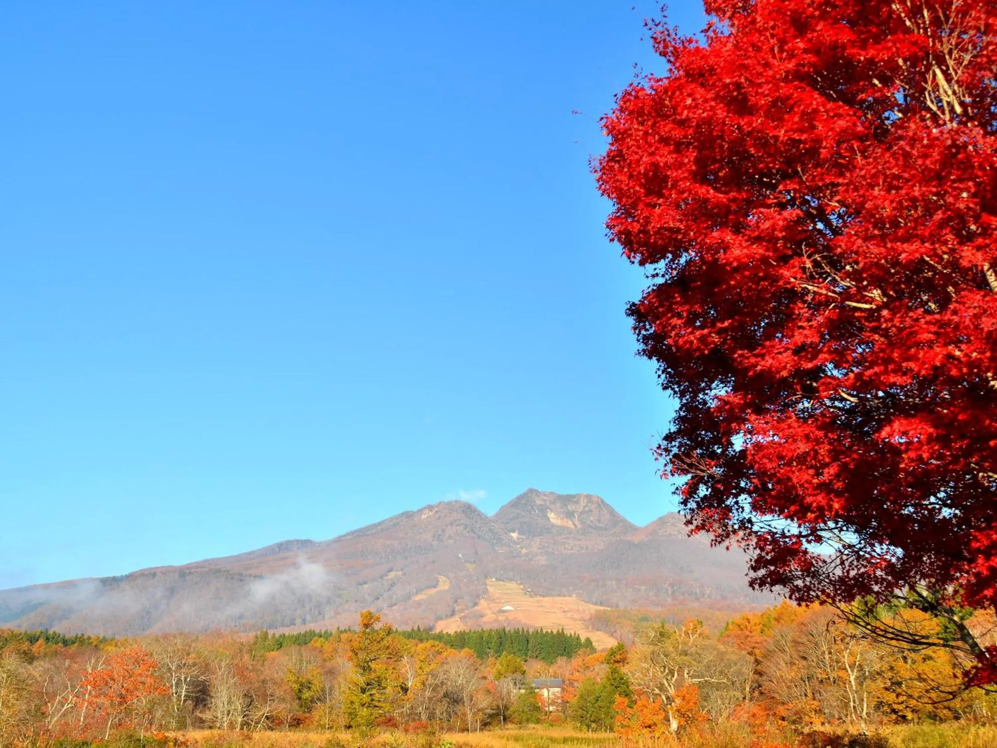 Natural landscape in Ryokan Okayama