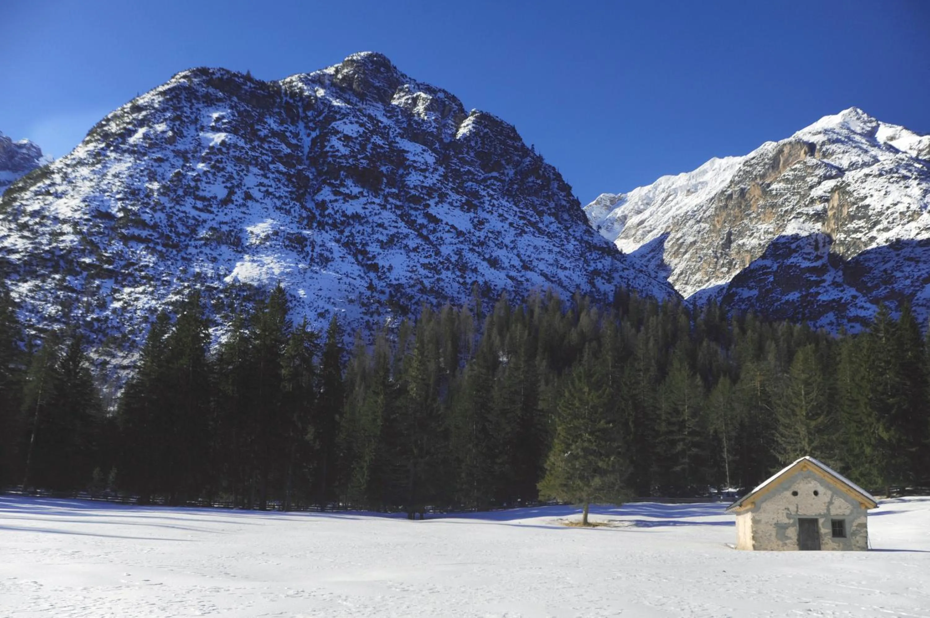 Natural landscape in Hotel Croda Rossa