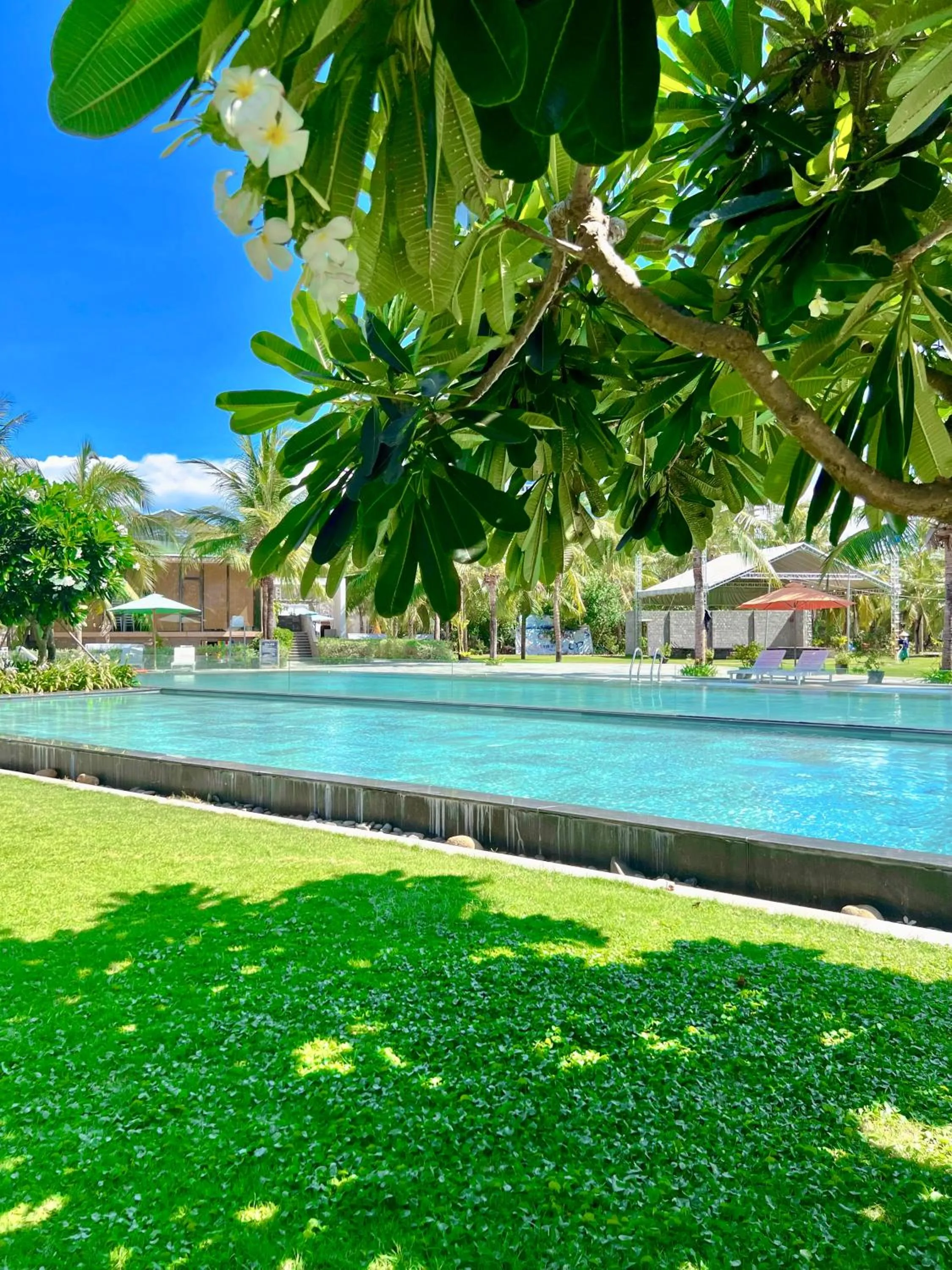 Garden in Temple Da Nang Resort