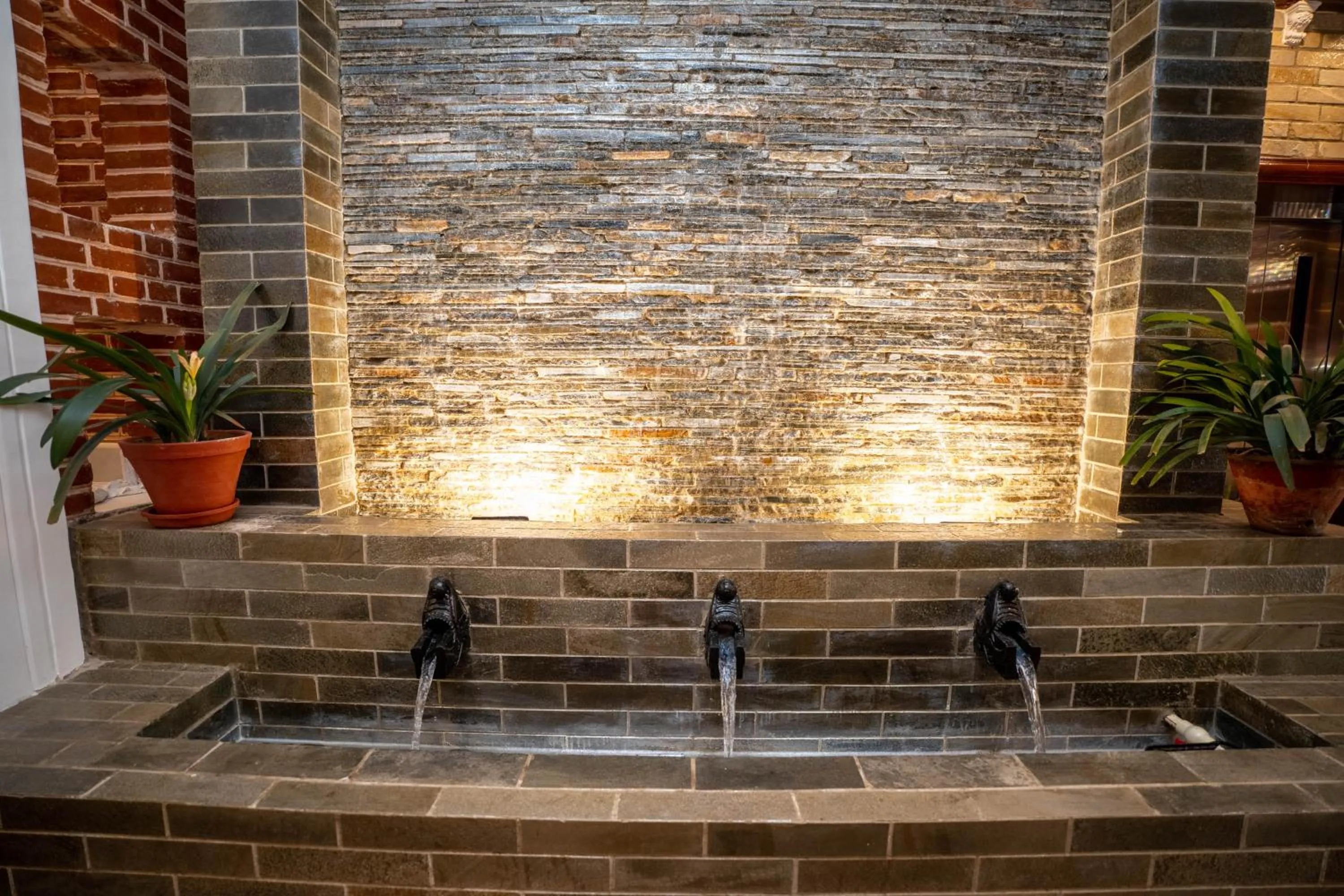 Entertainment in Airport Himalaya Boutique Hotel