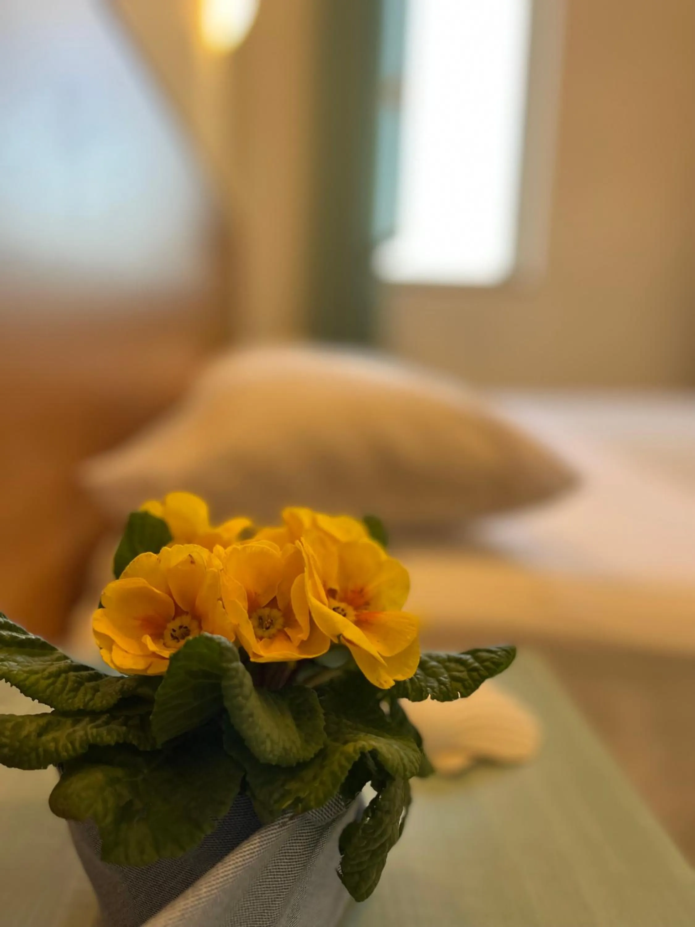 Bedroom, Bed in Hotel Valente