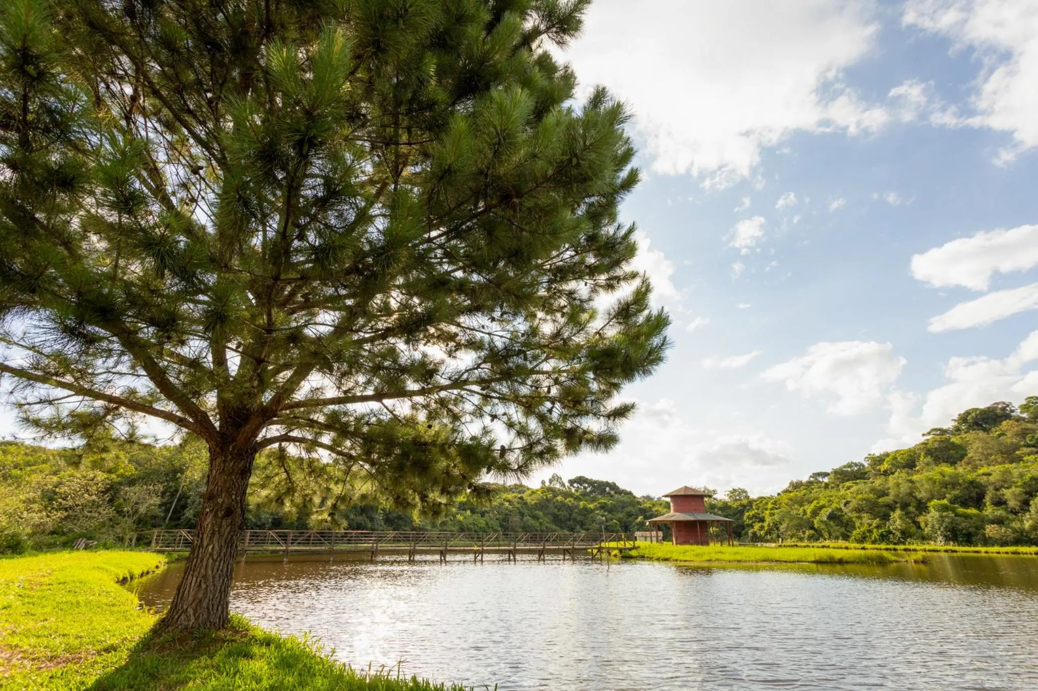 Natural landscape in Hotel Boutique Vinícola Araucária by Slaviero Hotéis