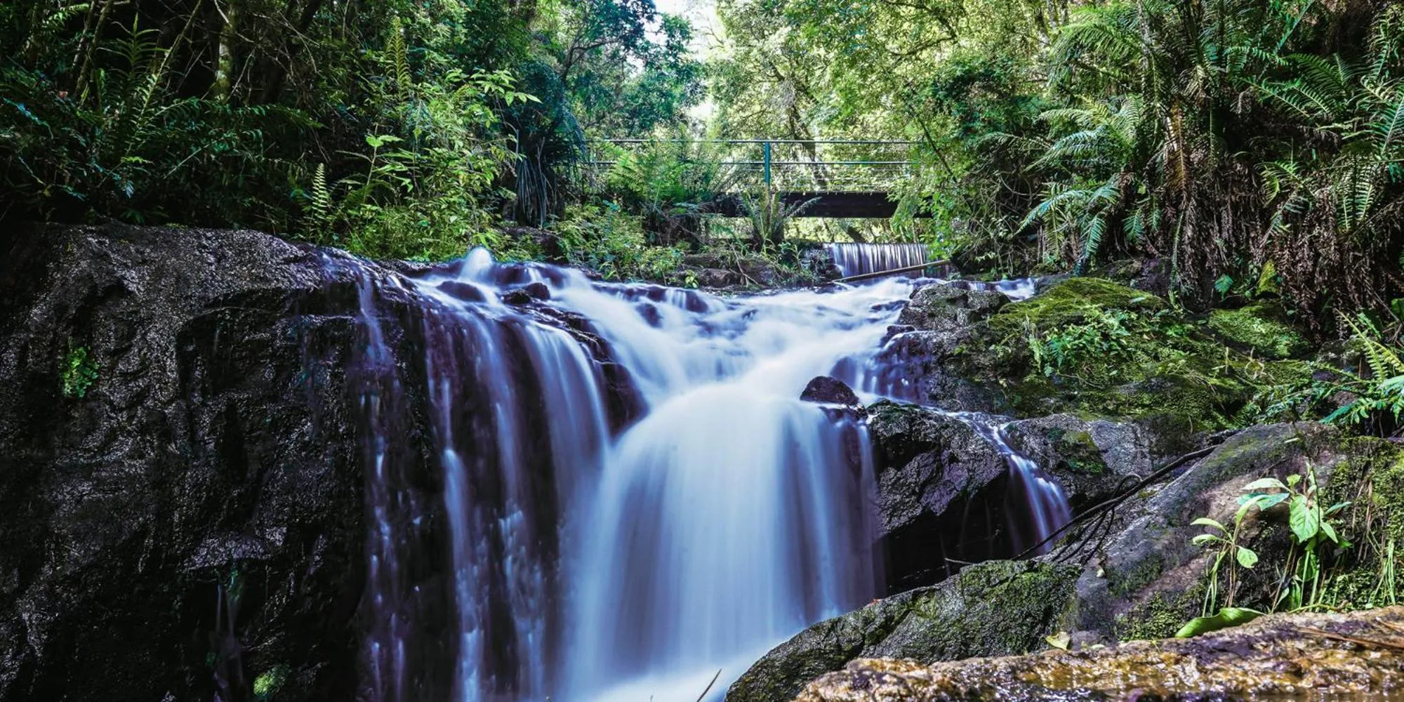 View (from property/room) in Hotel Boutique Vinícola Araucária by Slaviero Hotéis