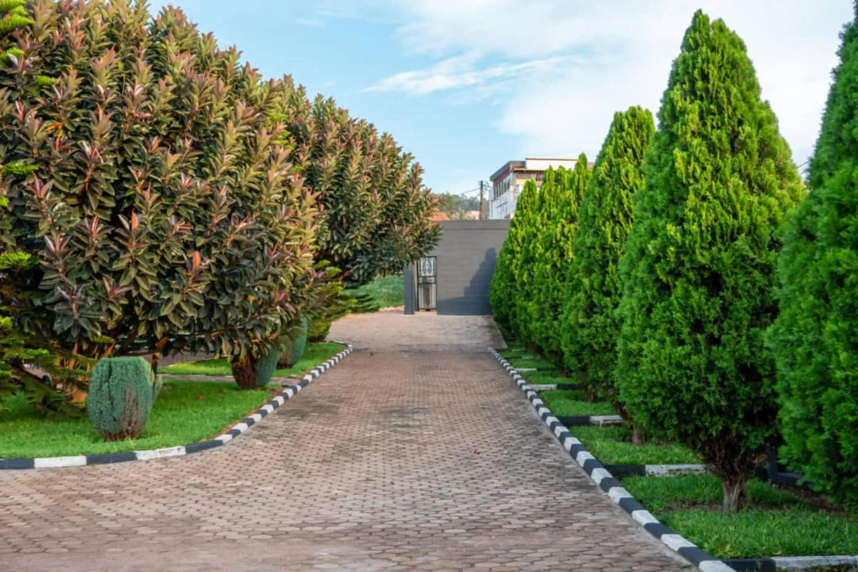 Spring in Amariah Villa