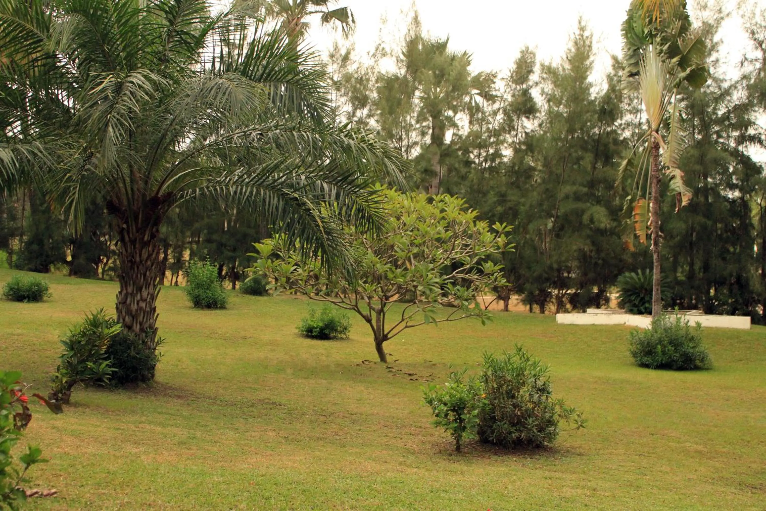 Garden in Kololi Beach Resort