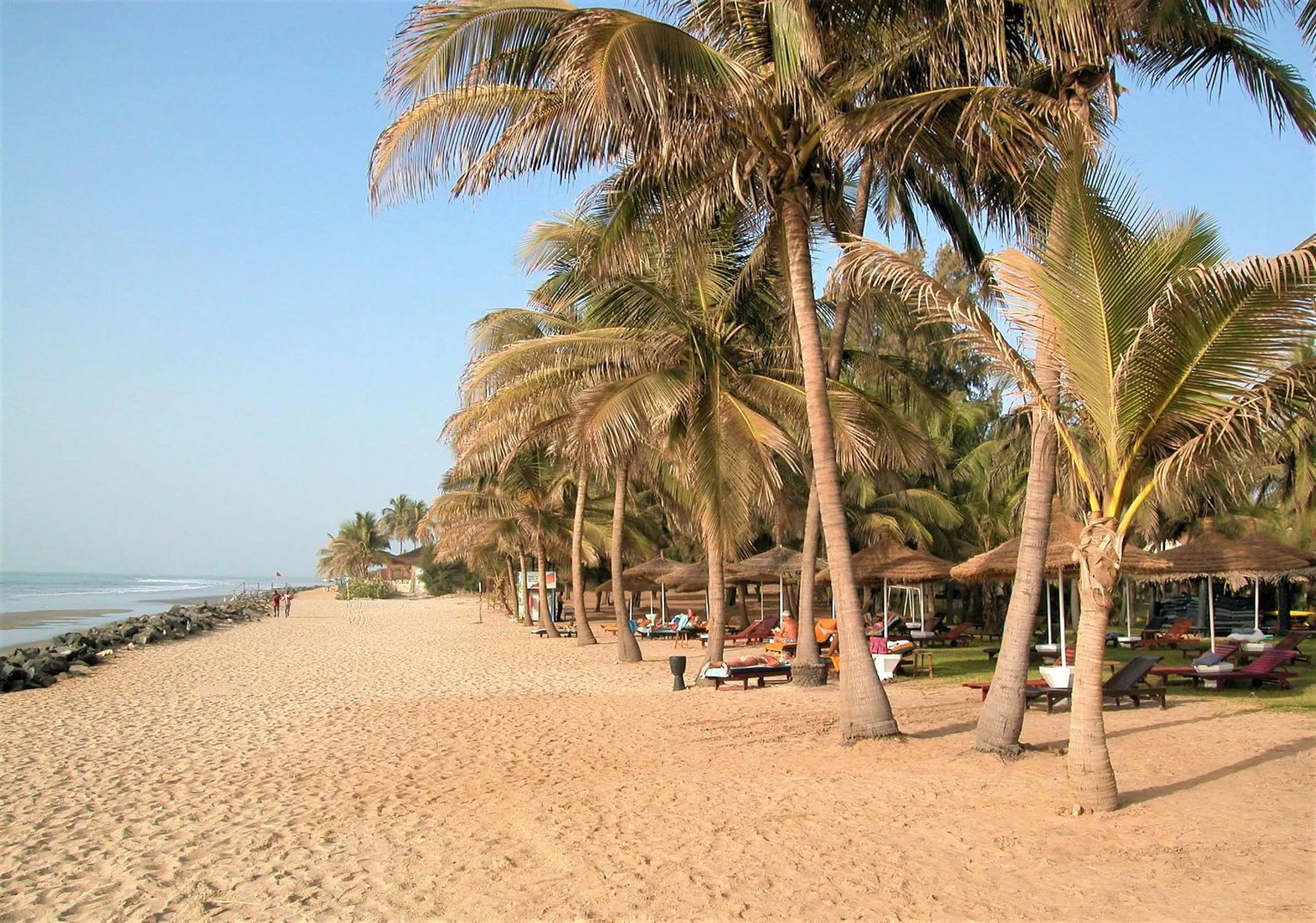 Beach in Kololi Beach Resort
