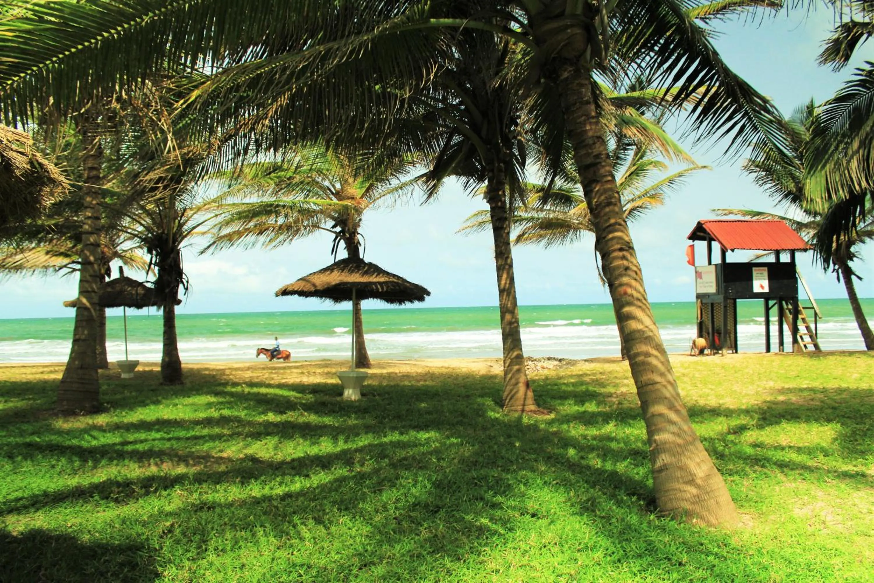 Beach in Kololi Beach Resort