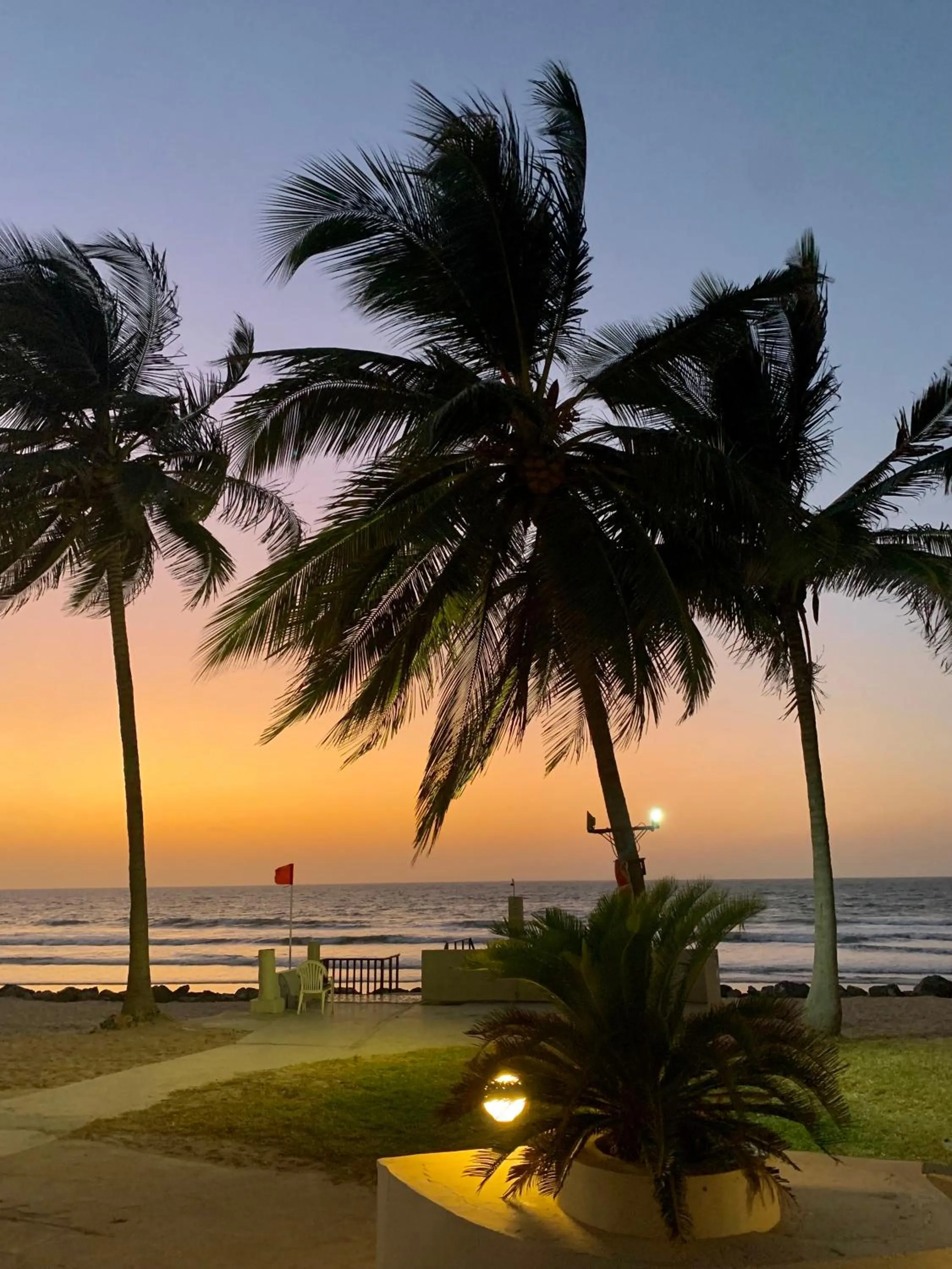 Beach in Kololi Beach Resort