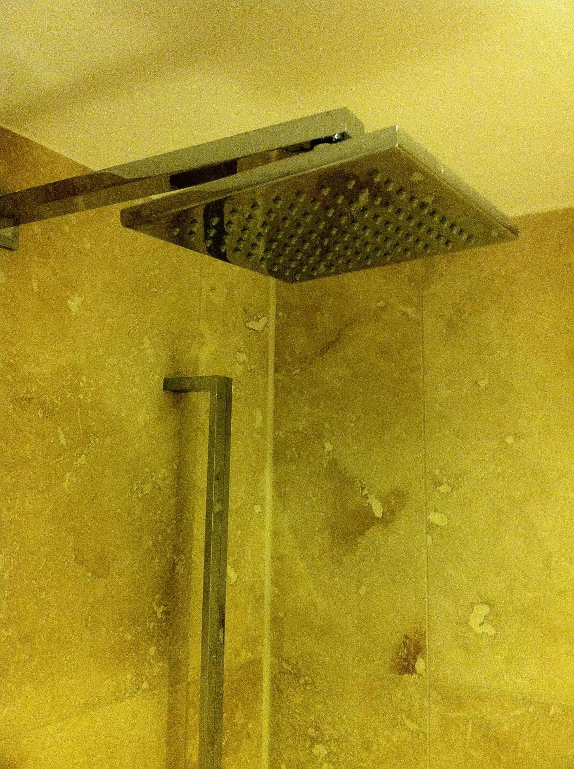 Shower in Bridge Hotel Brandon