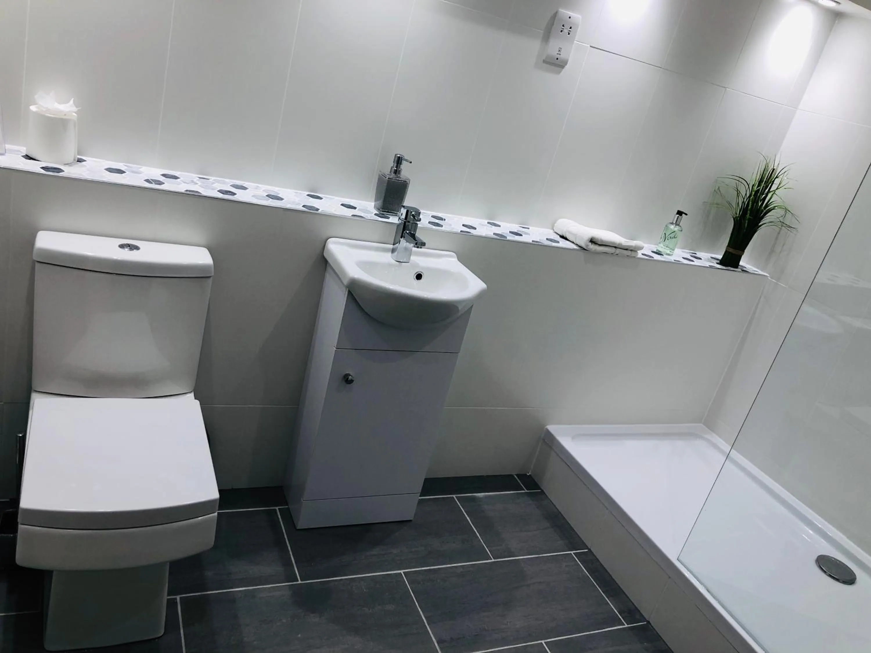 Toilet in Bettyhill Hotel