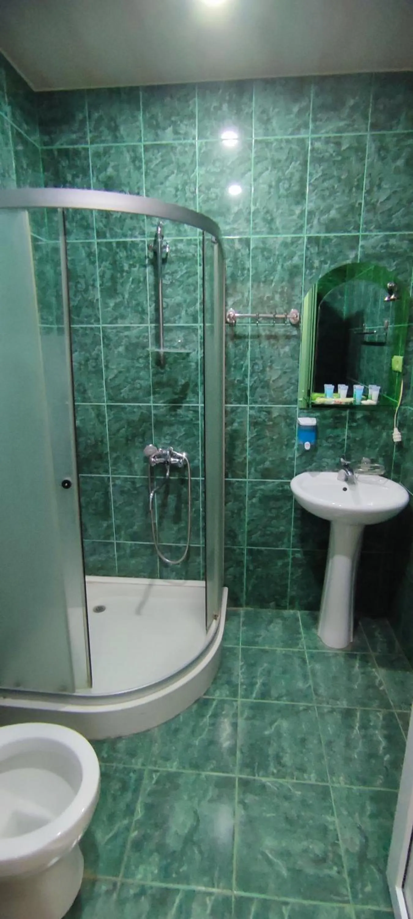 Shower in Hotel Max Comfort