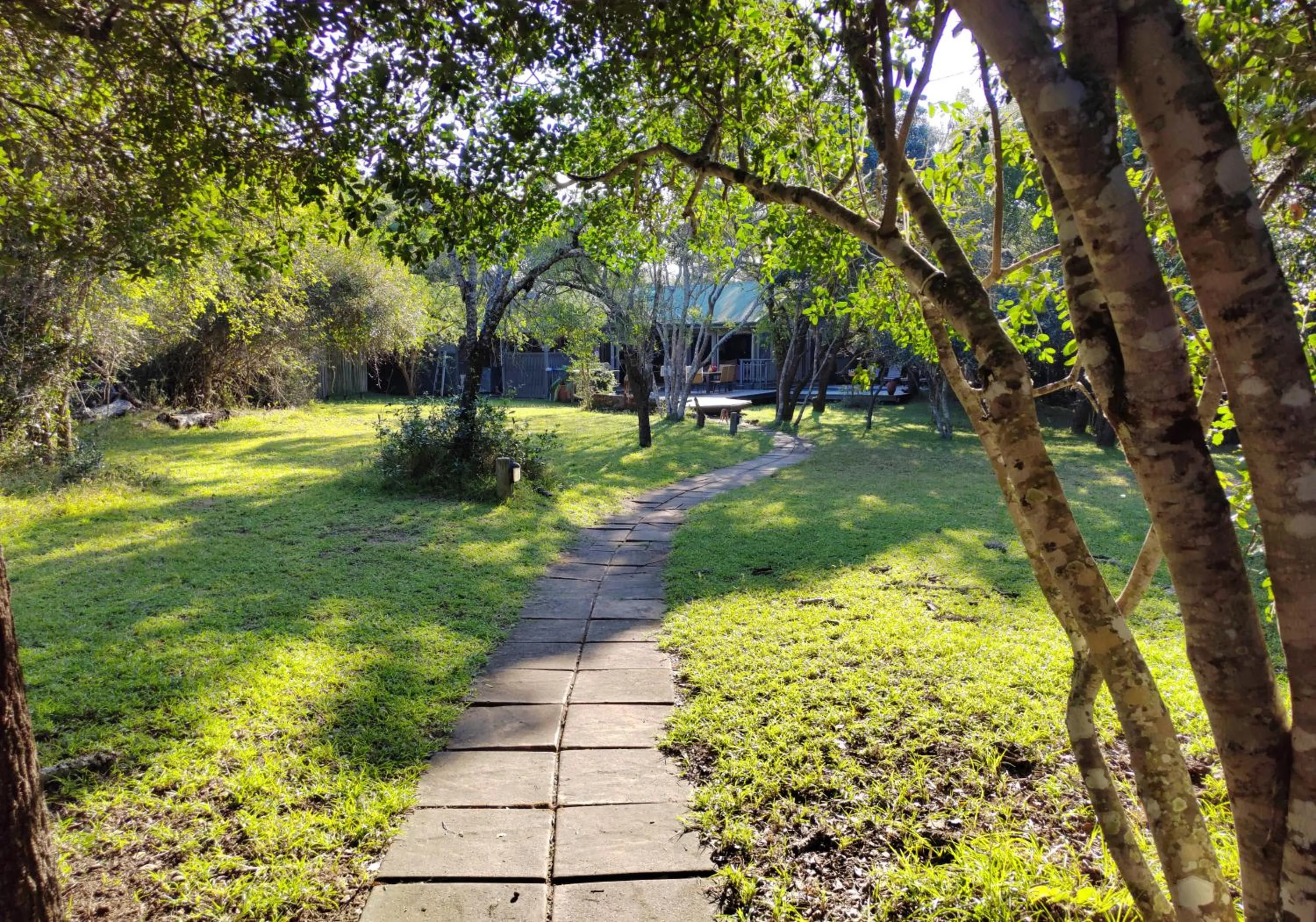 Garden view in Thornwood