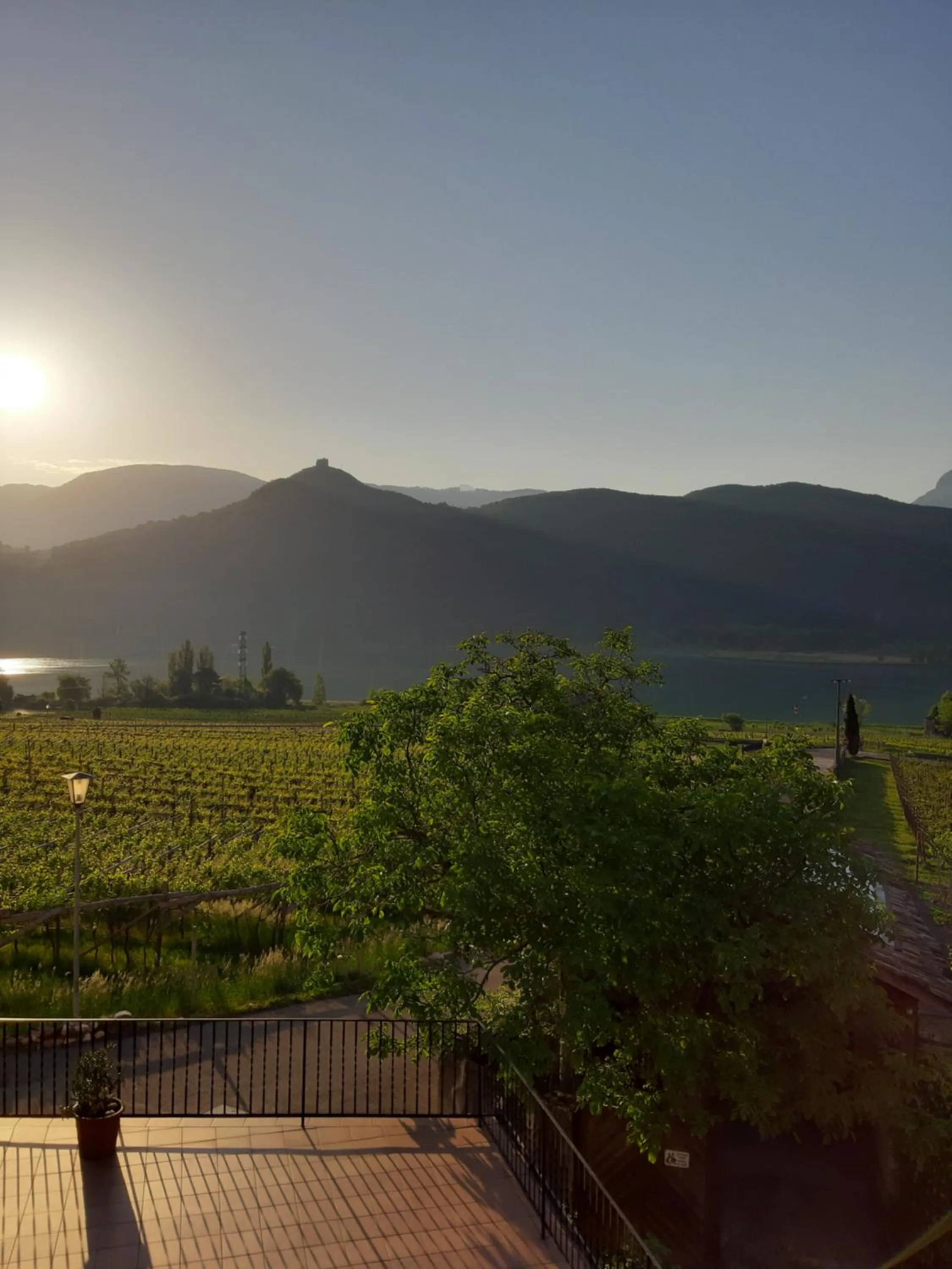 View (from property/room) in Pension Hasslhof