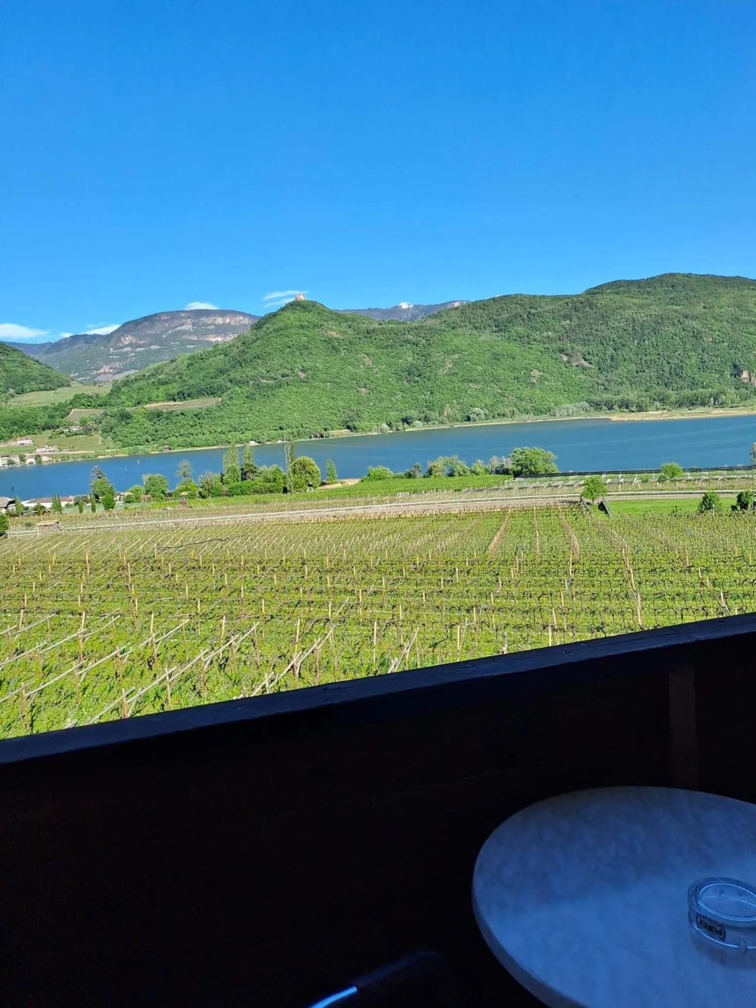 View (from property/room) in Pension Hasslhof